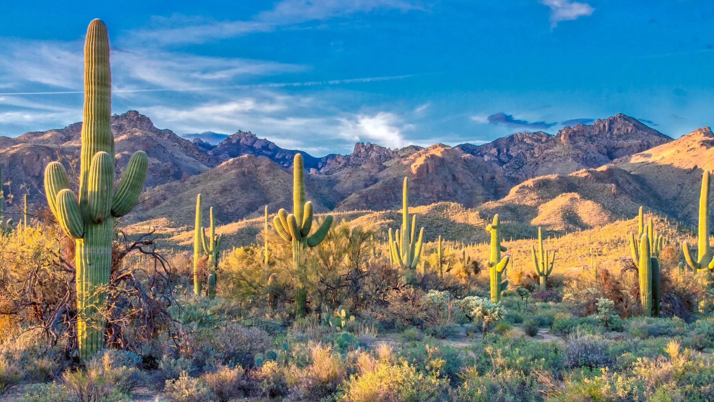 Invite voting members to the 2023 Grand Canyon Synod Assembly