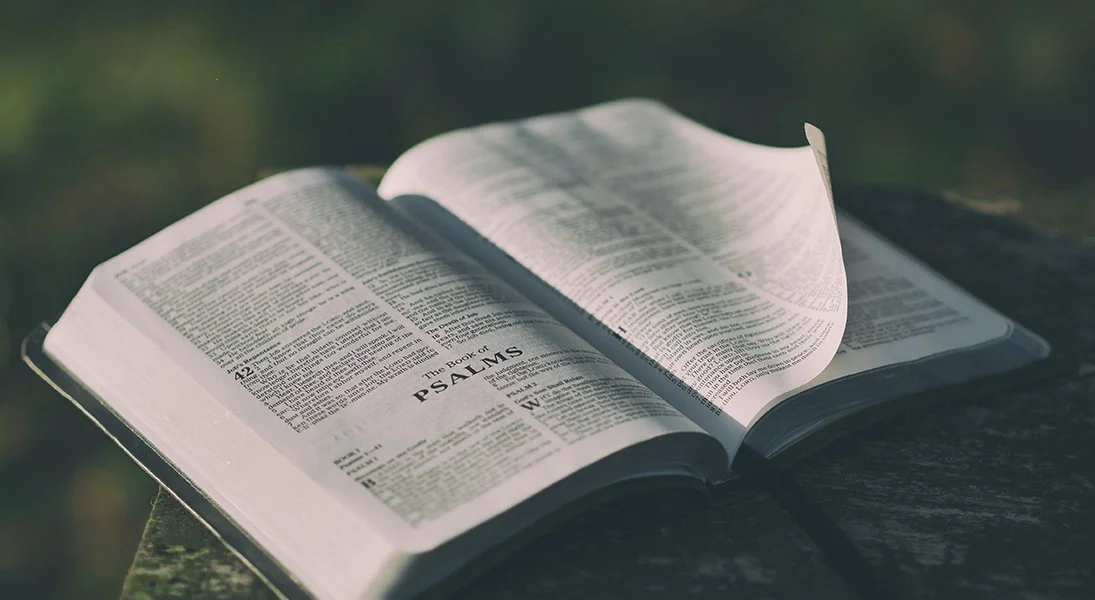 Living Lutheran: Praying the Psalms