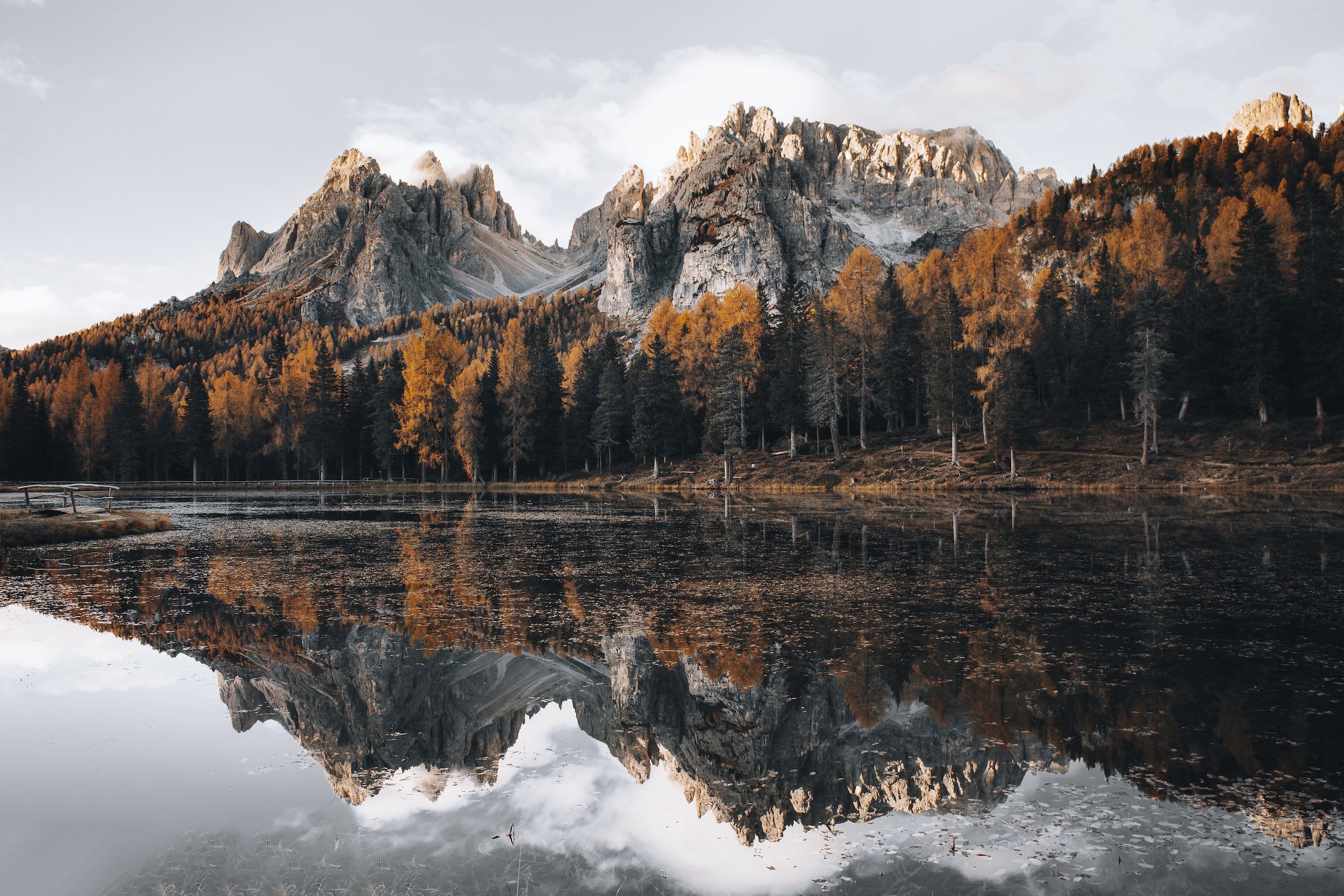 A Season of Action: Ecumenical Responses to the Climate Crisis