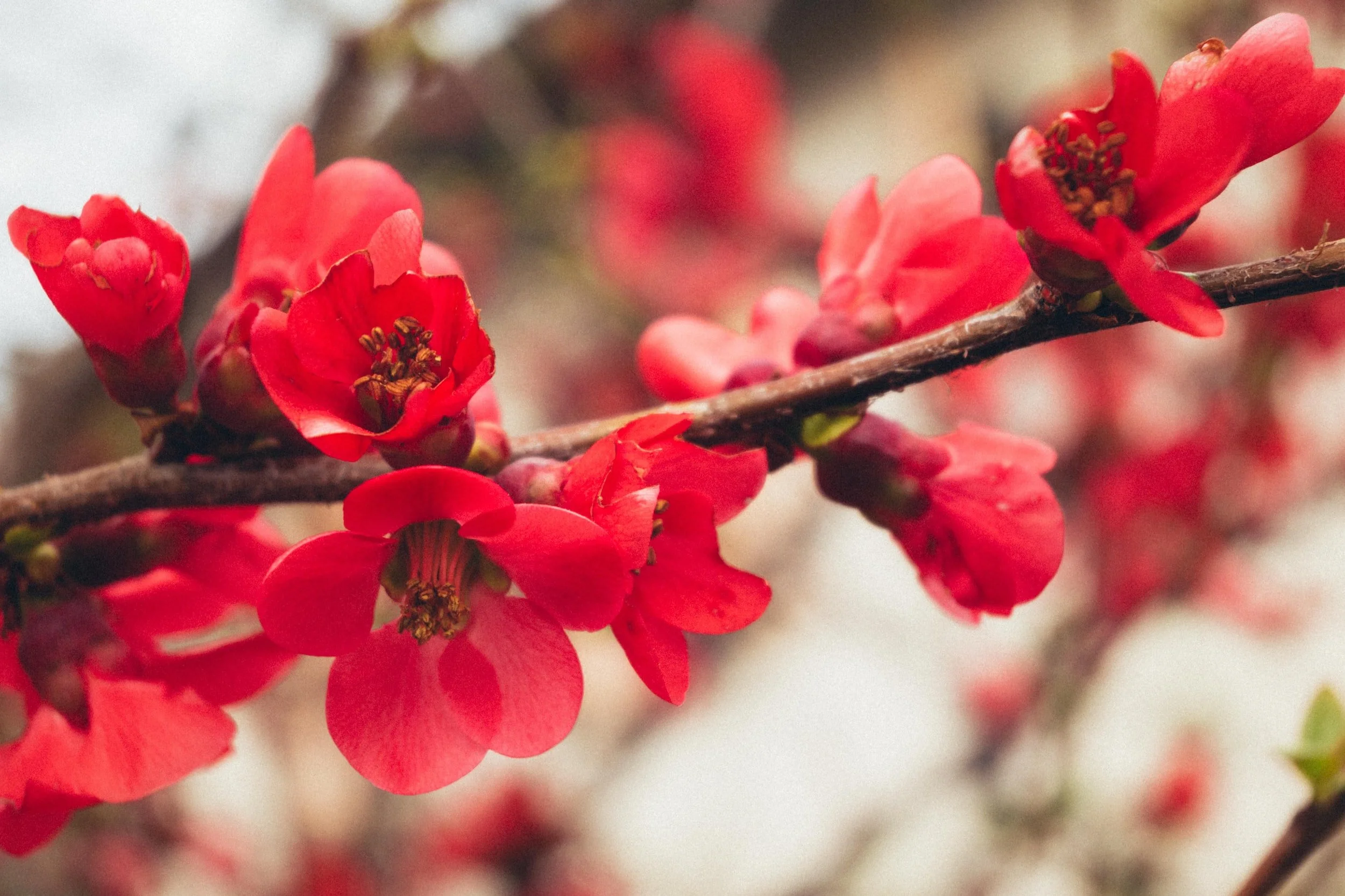 ELCA Worship News: April, 2024