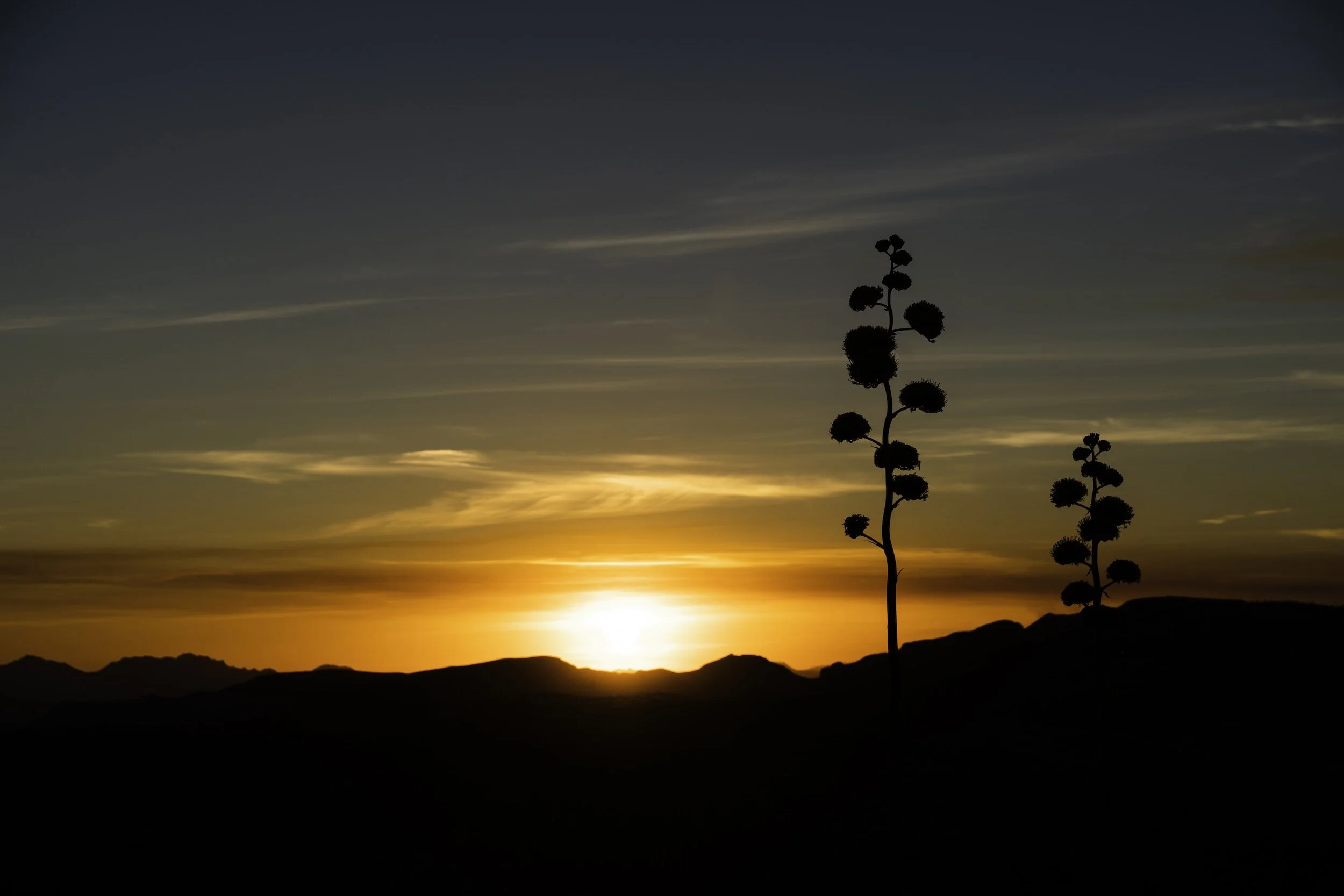 Ordination celebrations: 7/16/2023