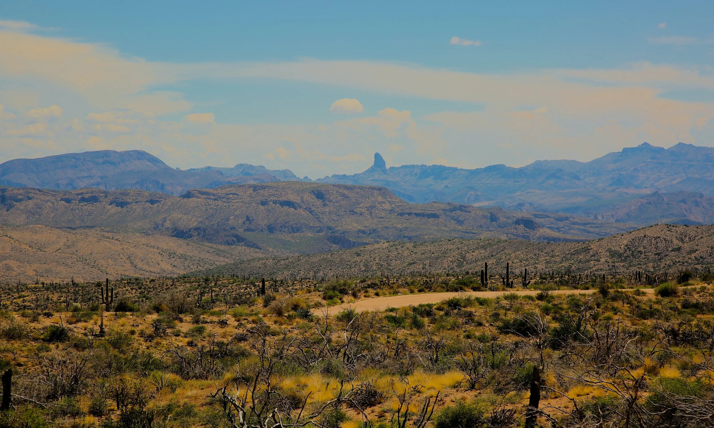 Ordination celebrations: 7/17/2023