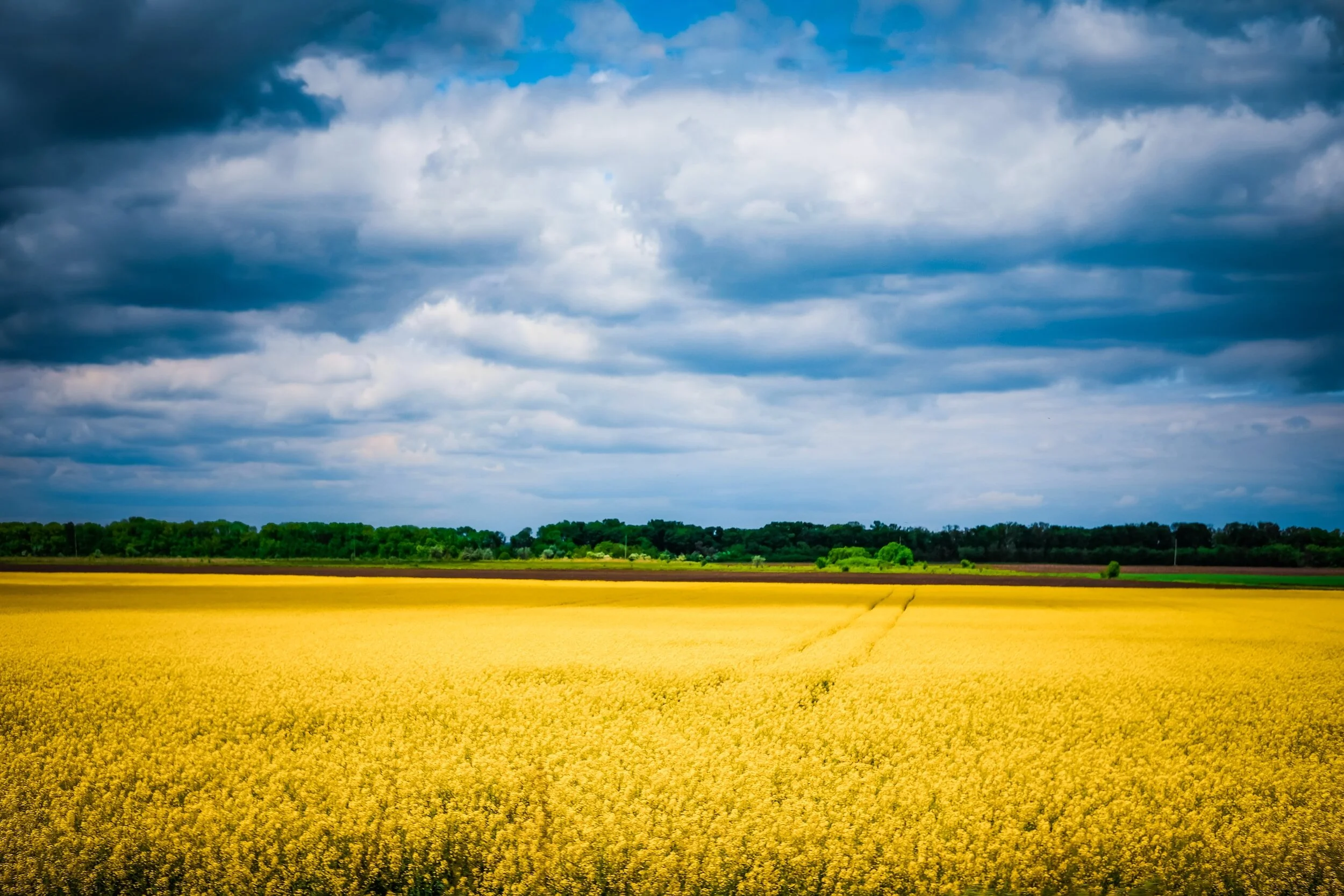 Lutheran Aid in Action: Supporting Farmers in Ukraine's Liberated Areas