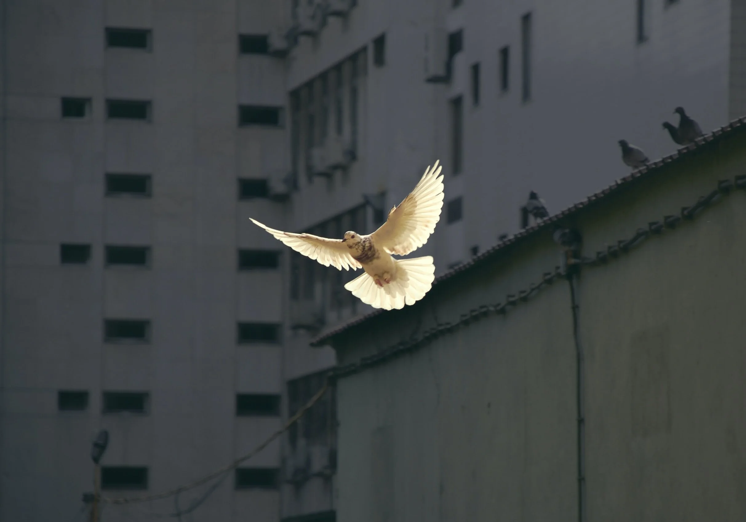 From Conflict to Compassion: Lessons from Galatians for Today’s World