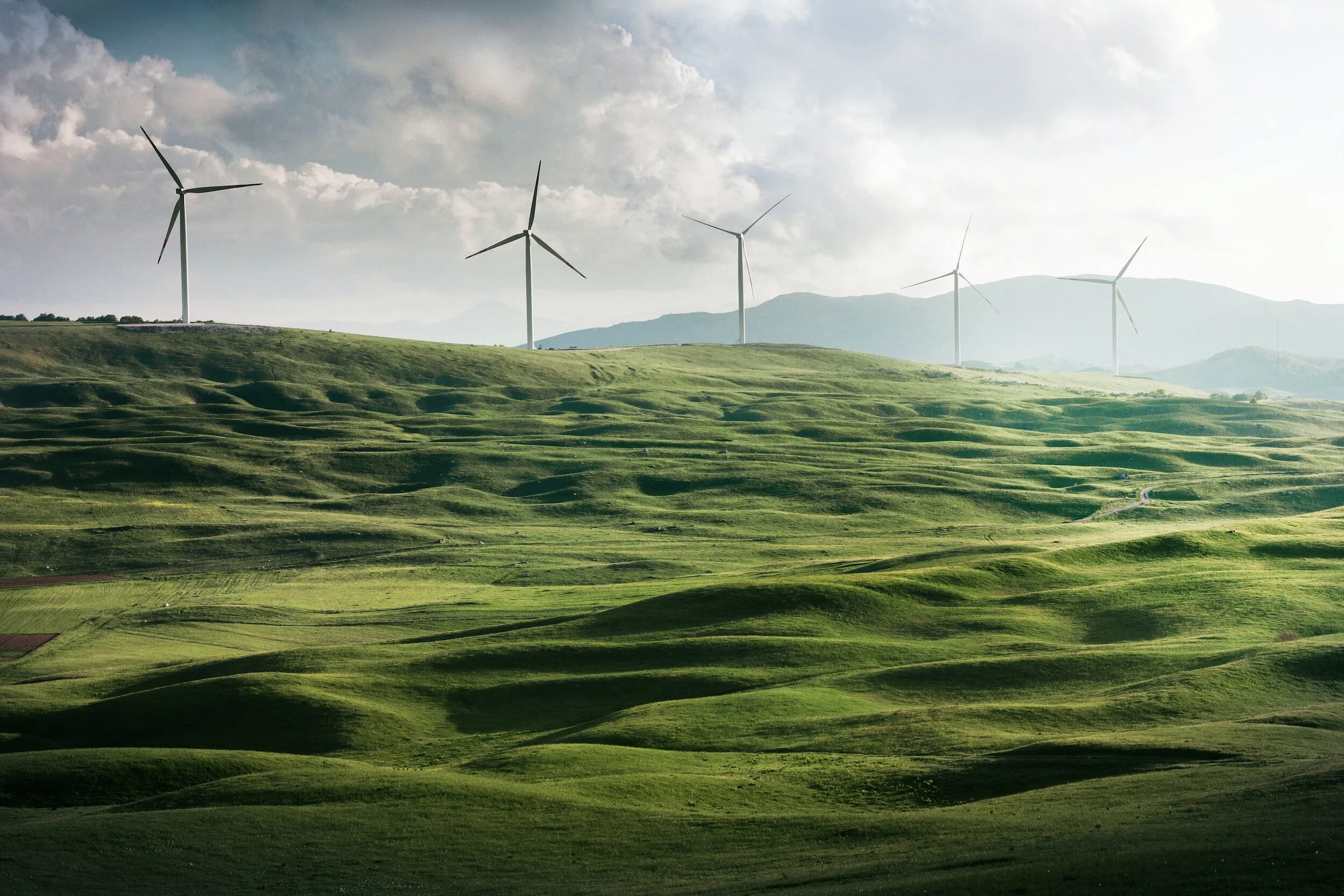 ELCA Update: Crisis Funding, Energy Efficiency, and Bipartisan Support for Afghans