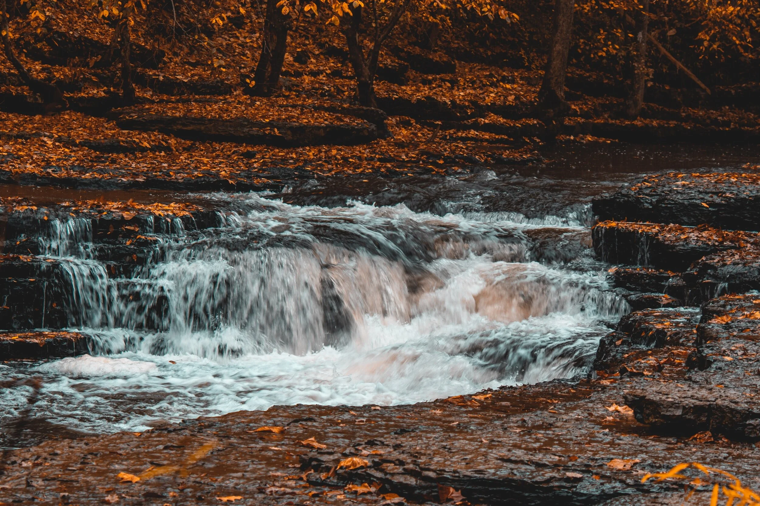 Final Call: Register as a commuter for the Bishop’s Fall Gathering Now!