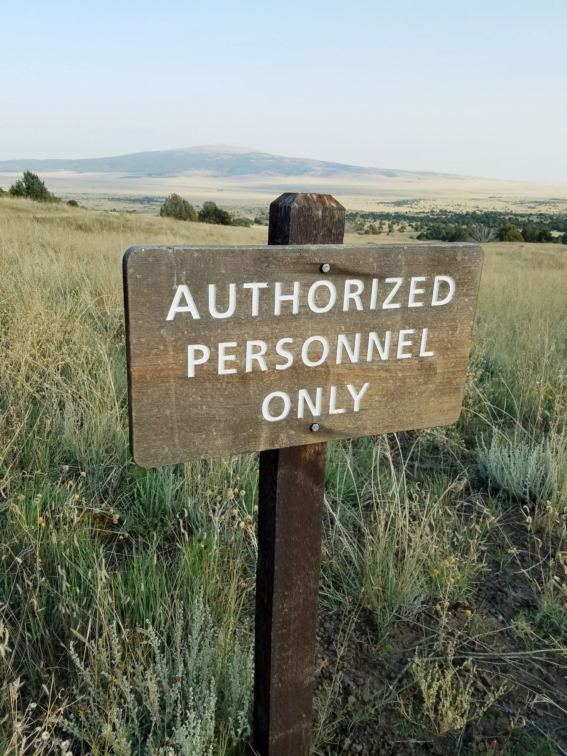 Faith Lens: Who Has Authority?
