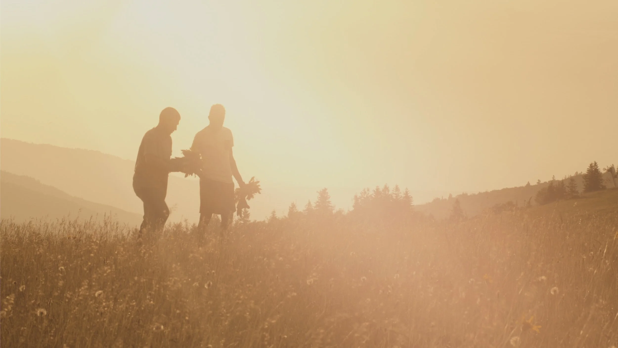 Harvest of the Heart: Exploring Autumn Stewardship Traditions