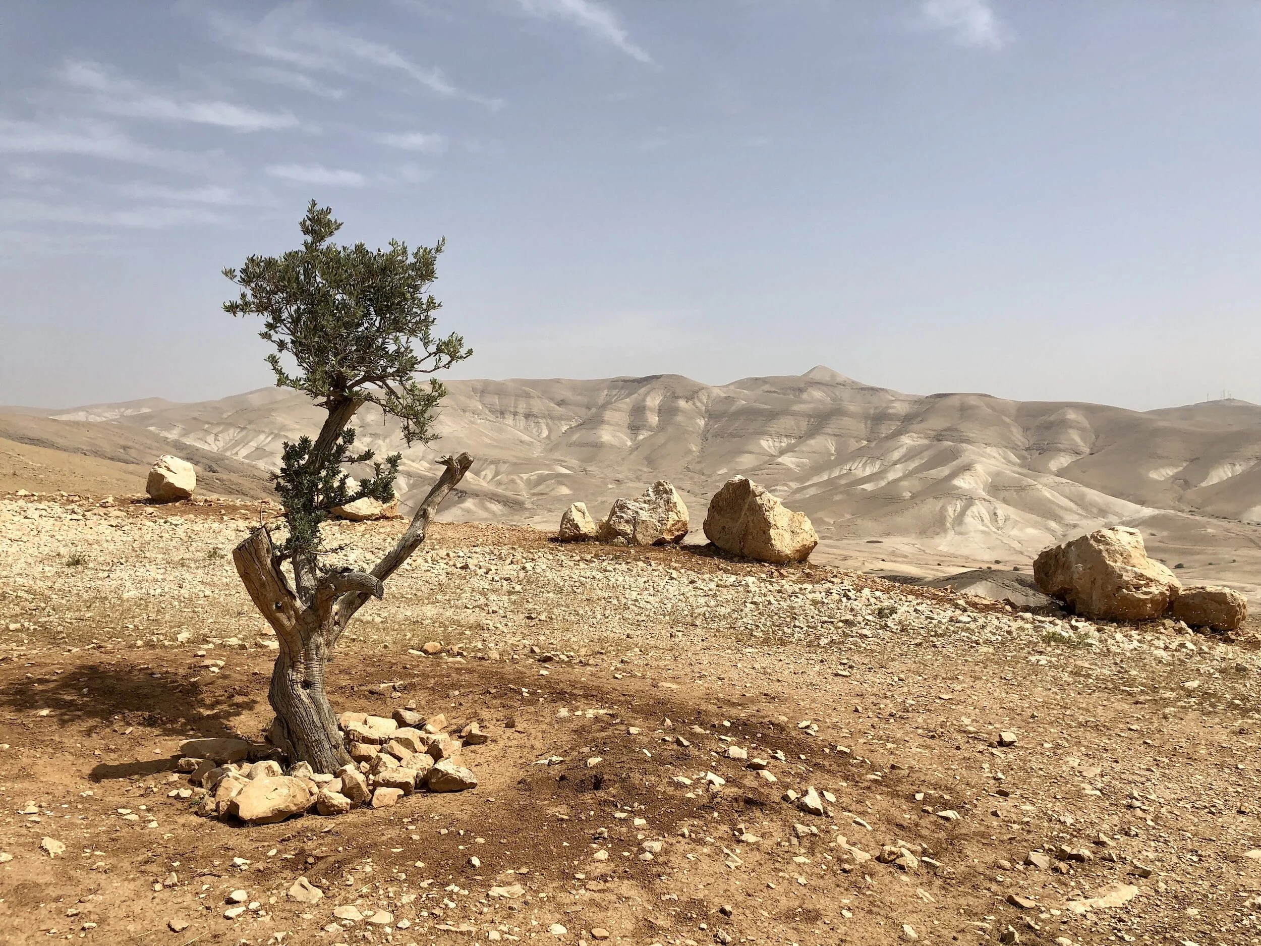 Statement from Bishop Eaton on current situation in Israel and Palestine