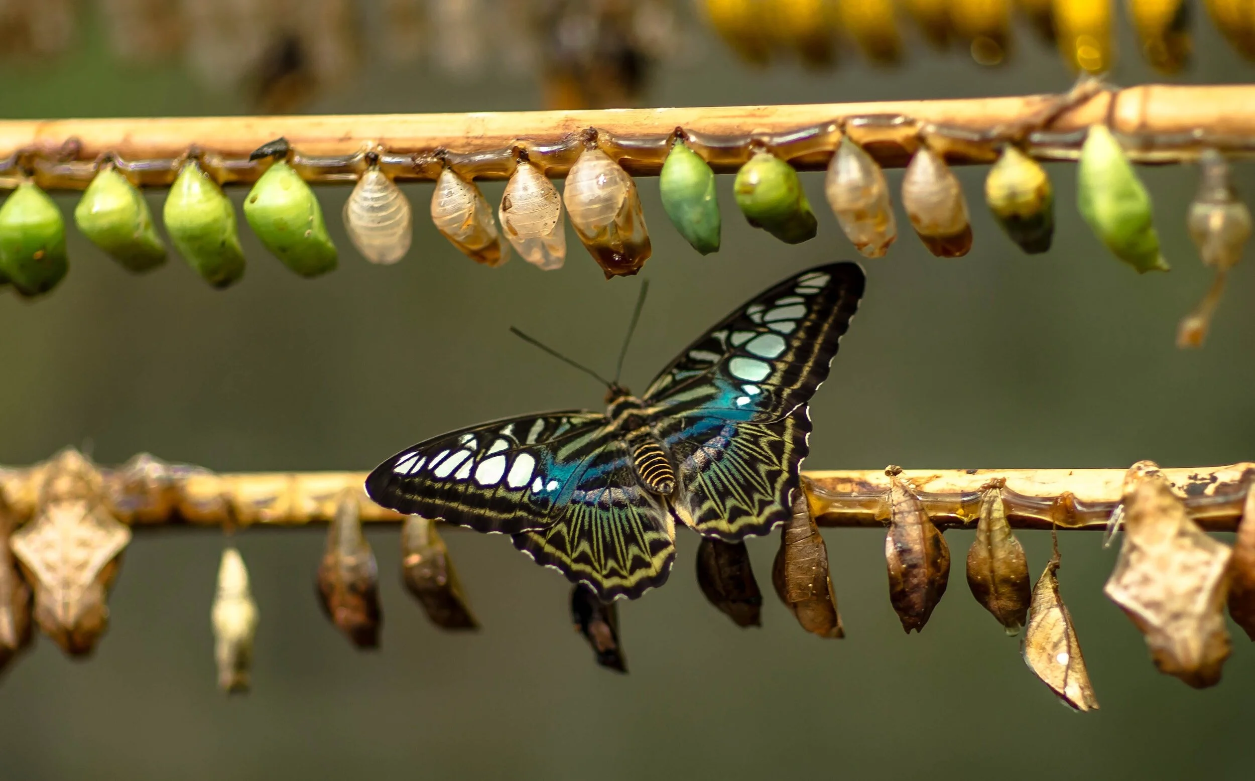 Faith Lens: Change is Coming