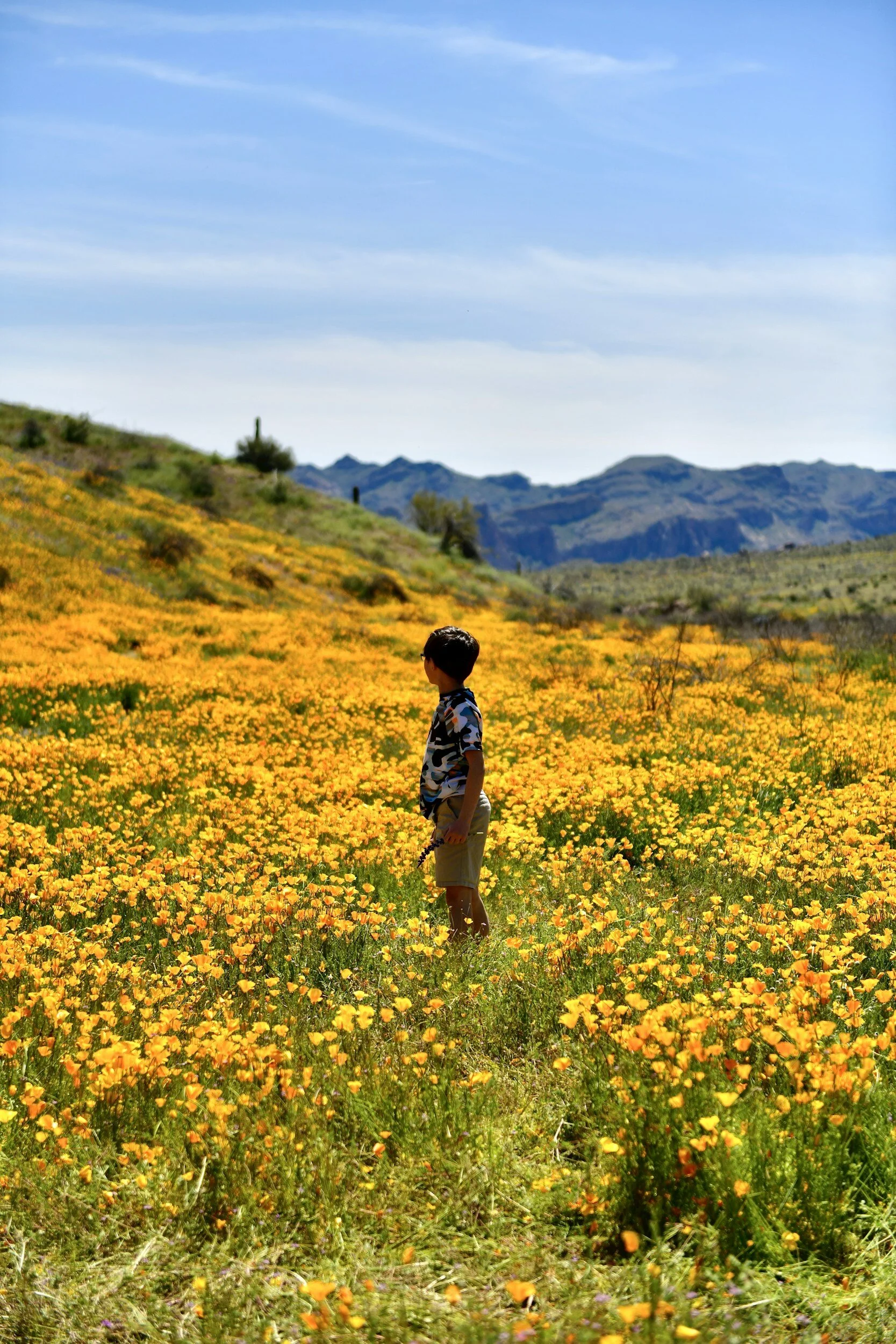 "Embody the Word": Grand Canyon Synod's Final Spring Gatherings Call You!