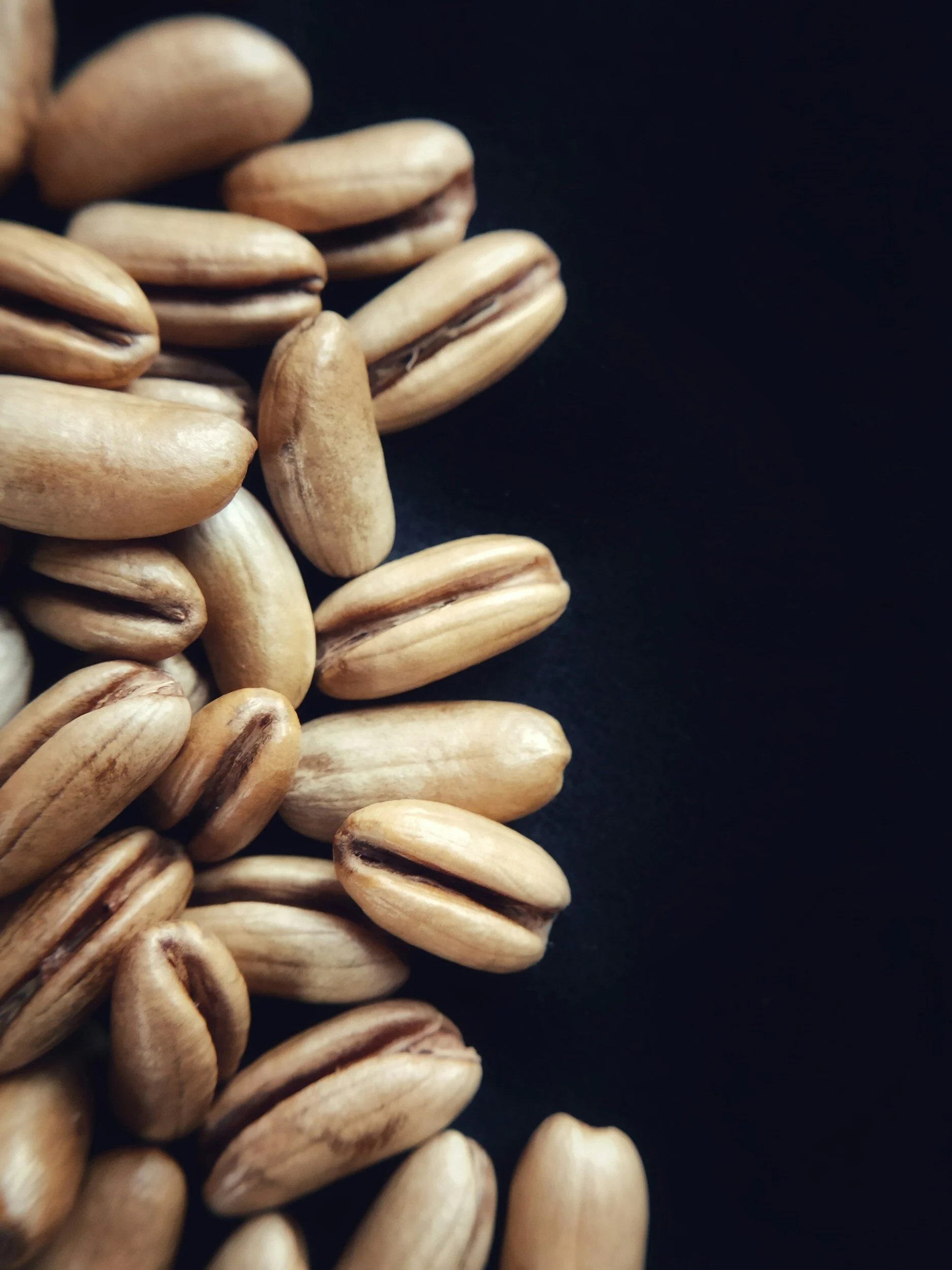 Seeds Monthly: March 2024