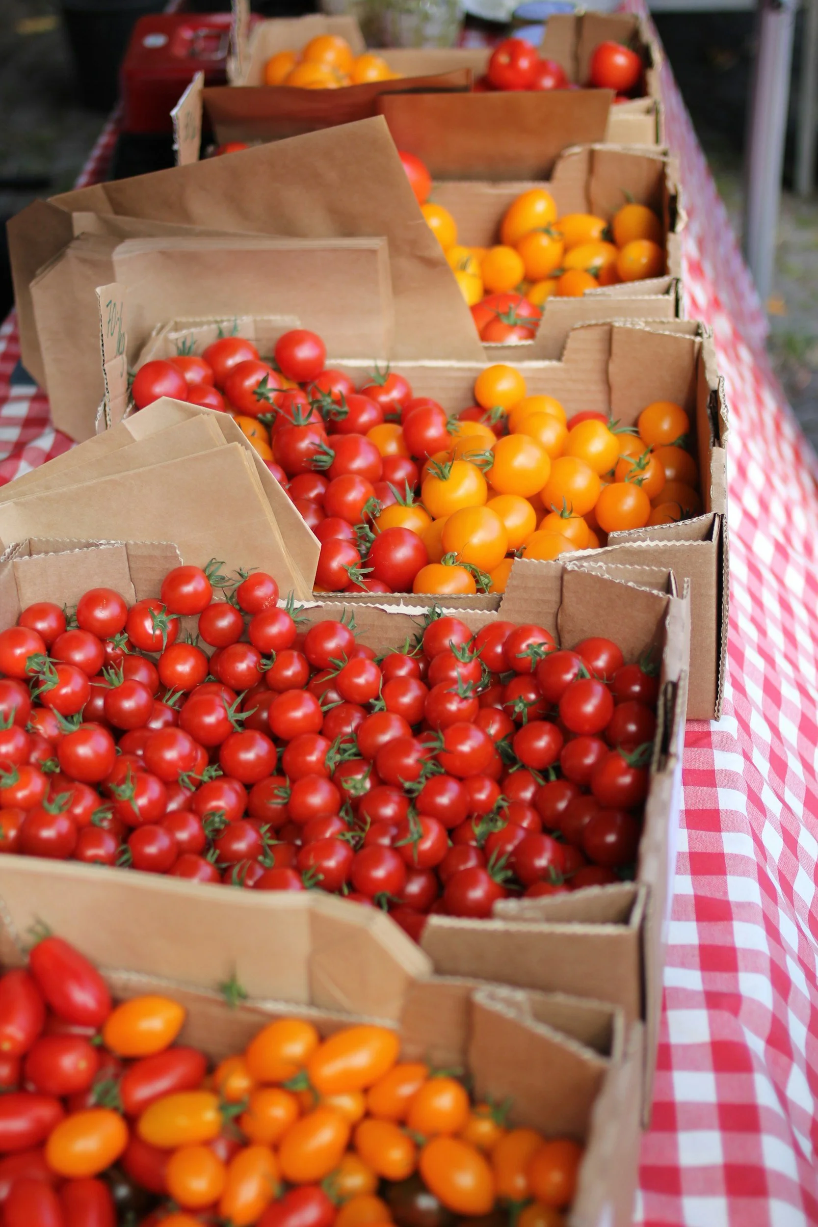 Apply Now: ELCA World Hunger’s Domestic Hunger Grants Open for 2024