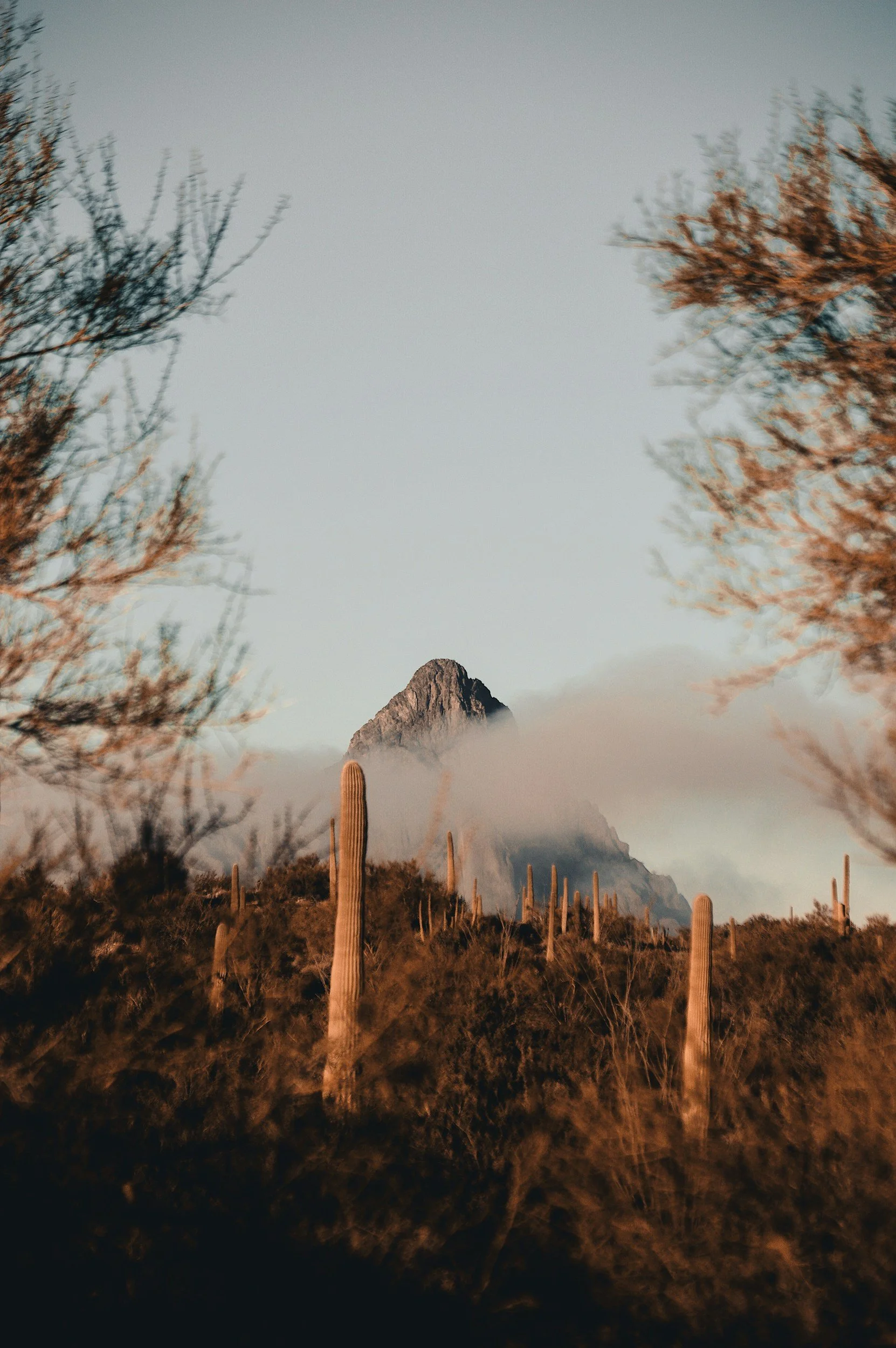 Arizona Faith Network Addresses ‘Secure the Border Act’
