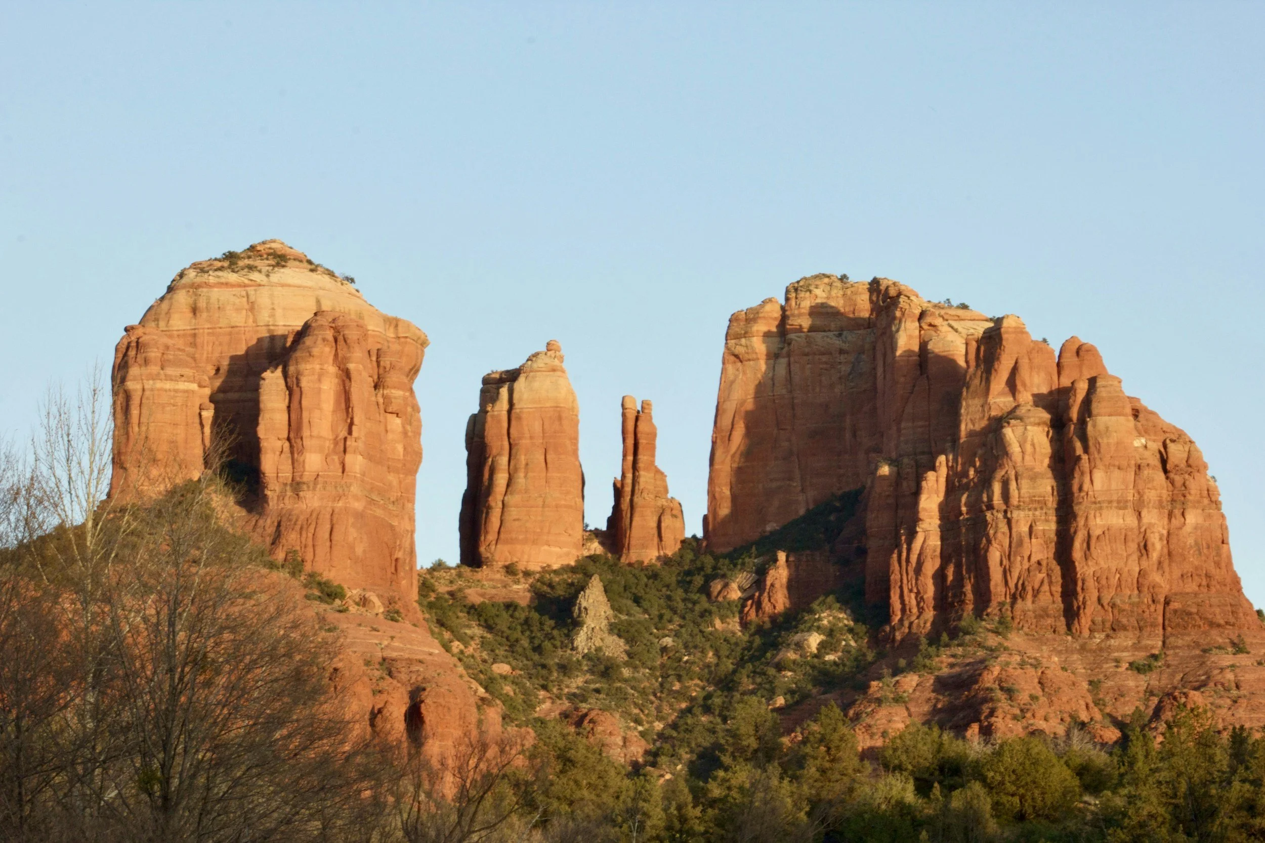 Office of the Bishop Updates: 5/24/2024