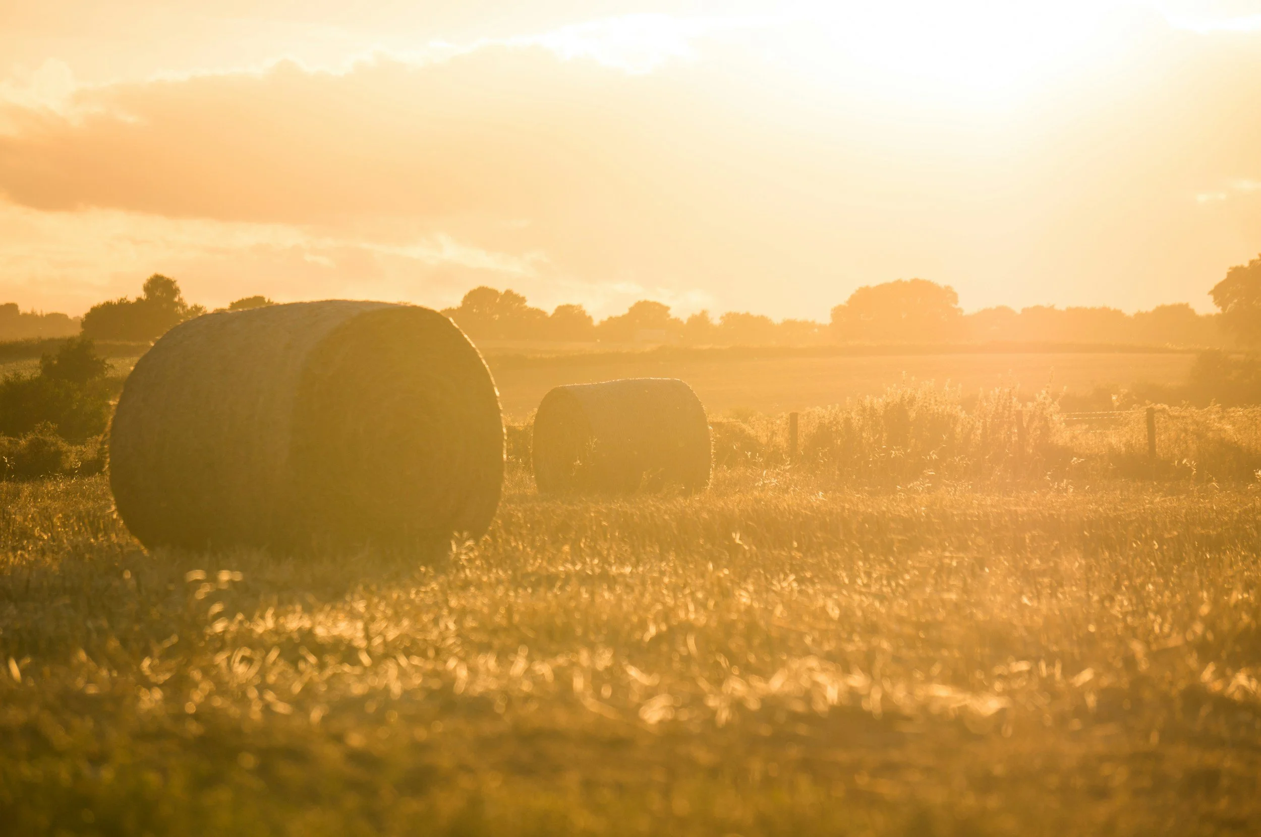 Urgent Call to Action: Advocate for a Just 2024 Farm Bill