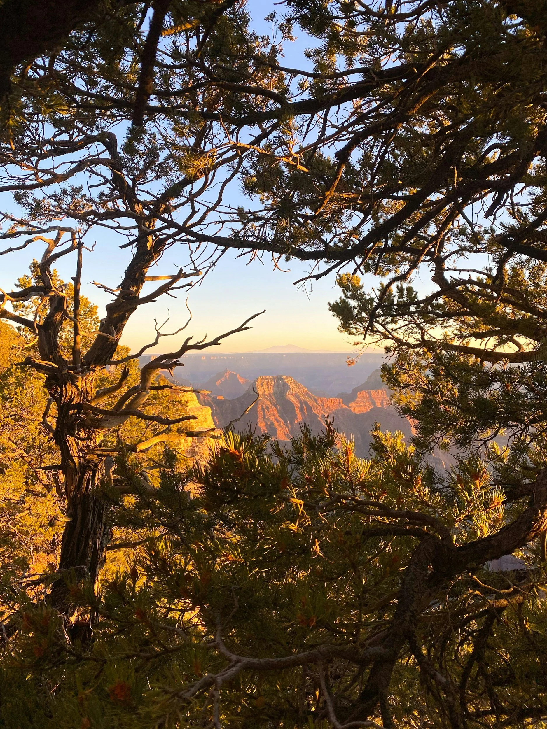 Embody the Word: Engage with Faith Leaders at the 2024 Bishop’s Fall Gathering