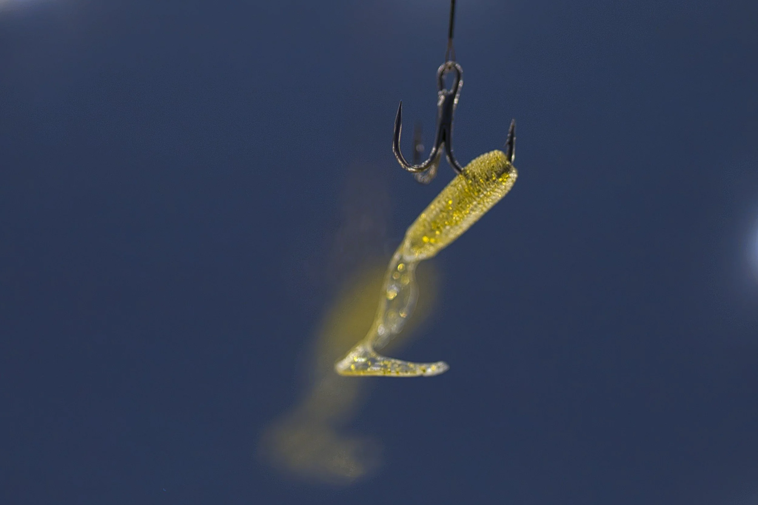 Stay Alert: Protect Yourself from Email Phishing Scams Targeting Synod Leaders