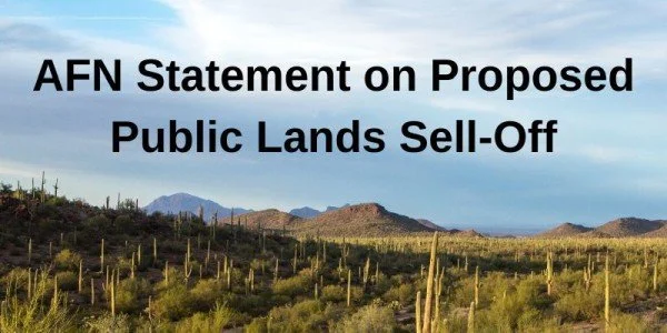 From Meditation to Mobilization: Join AFN’s Interfaith Work for Justice and Relief