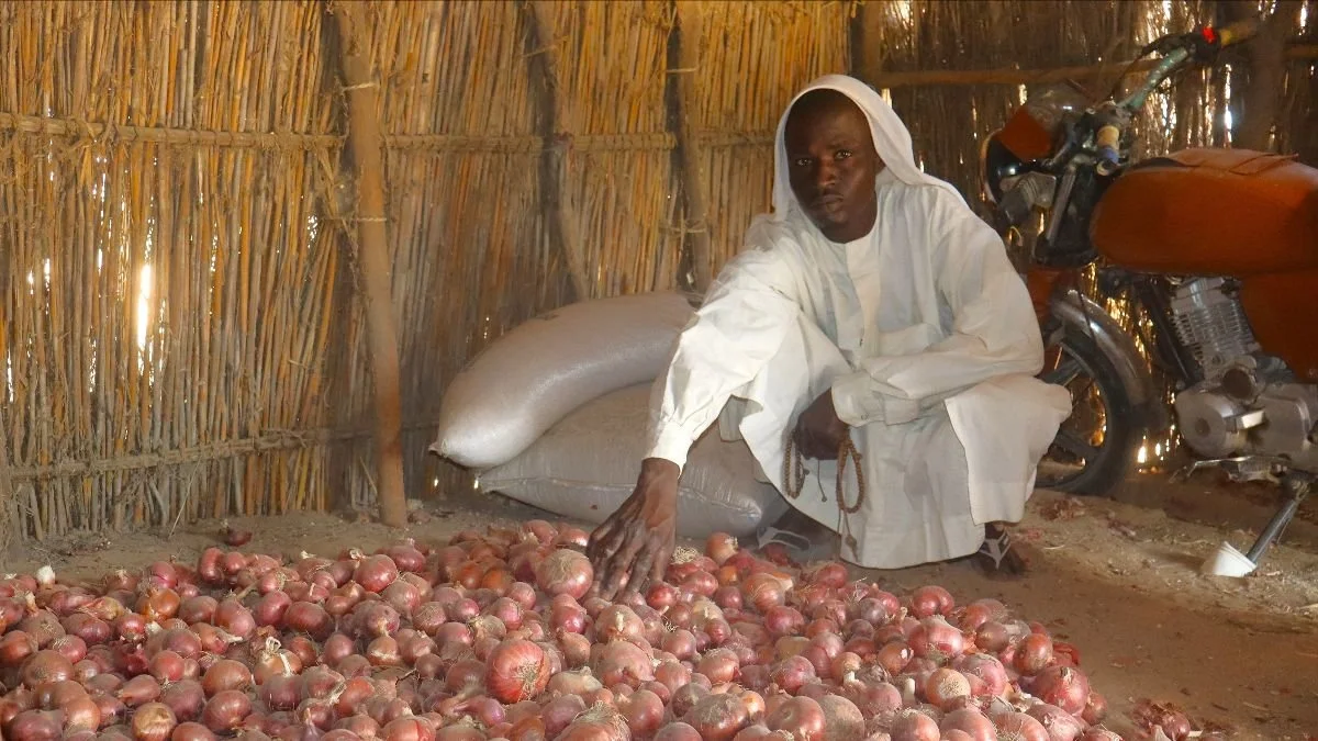 Lutheran World Federation newsletter