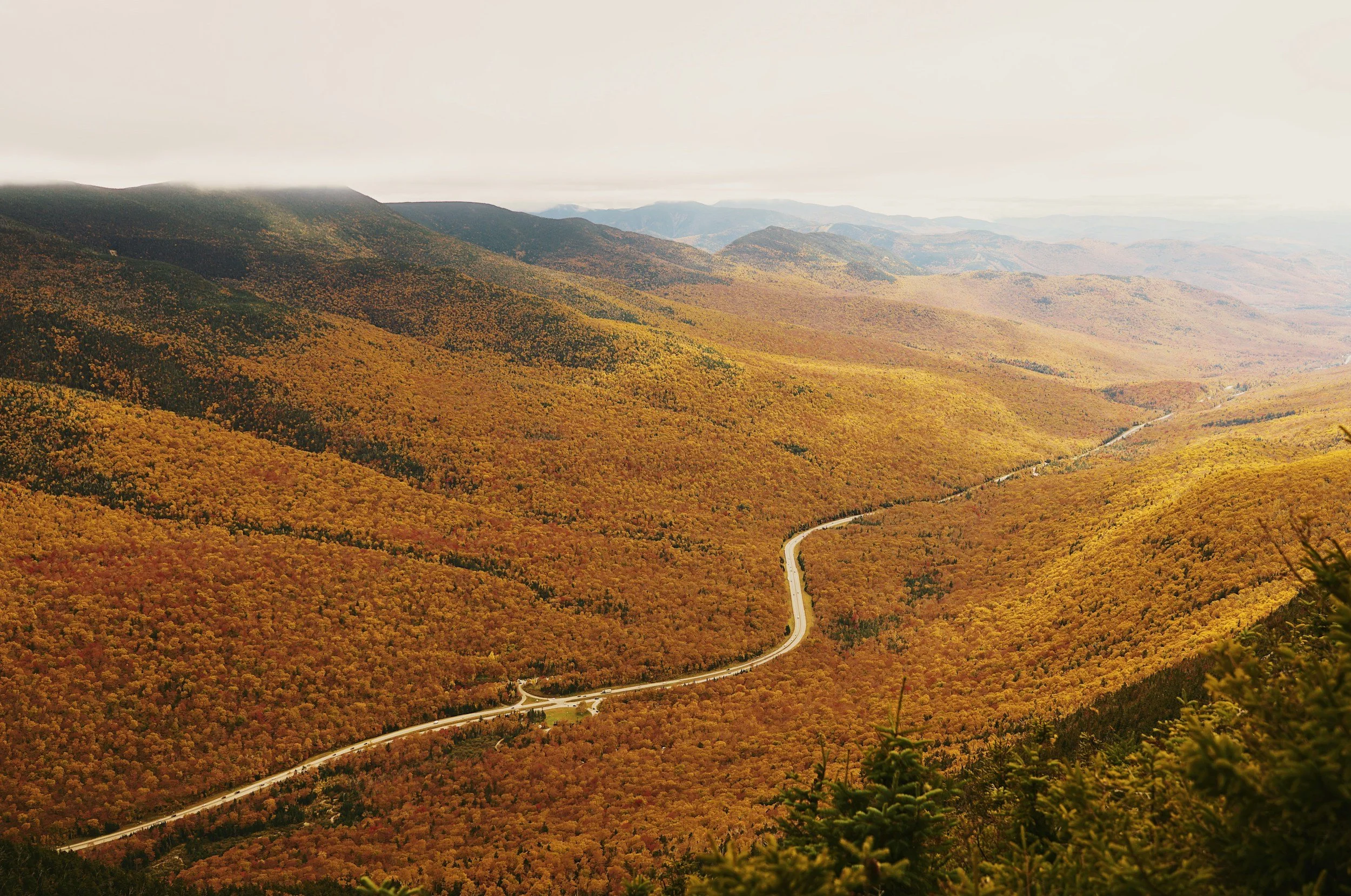 Free November Opportunities from ELCA Coaching: Learn, Grow & Connect