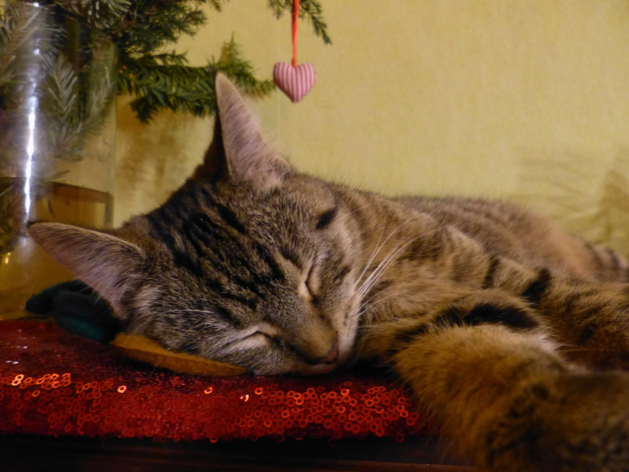Holiday Schedule Update: Office of the Bishop Closed Dec. 24–26 and Jan. 1