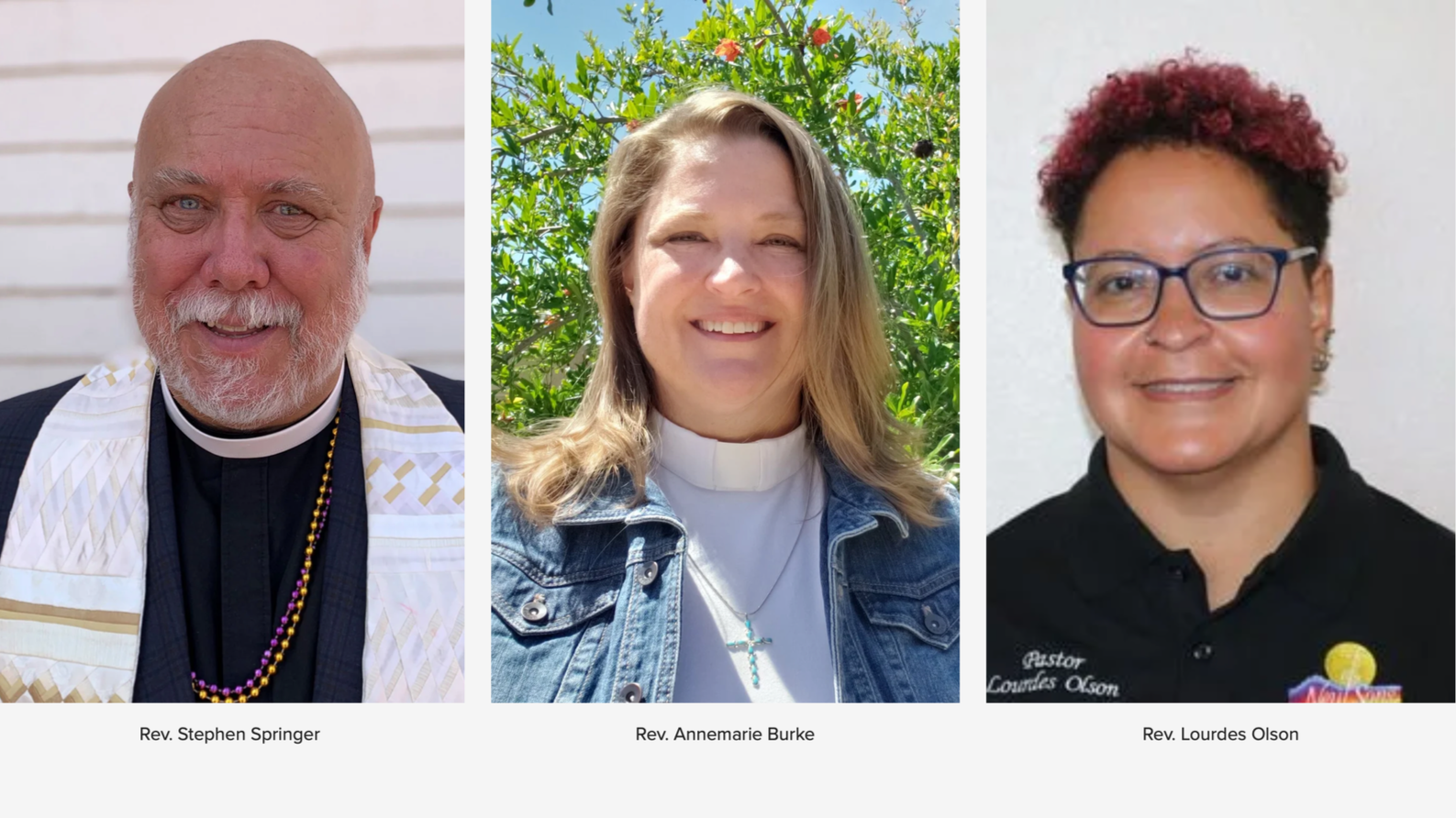 Ordination celebrations