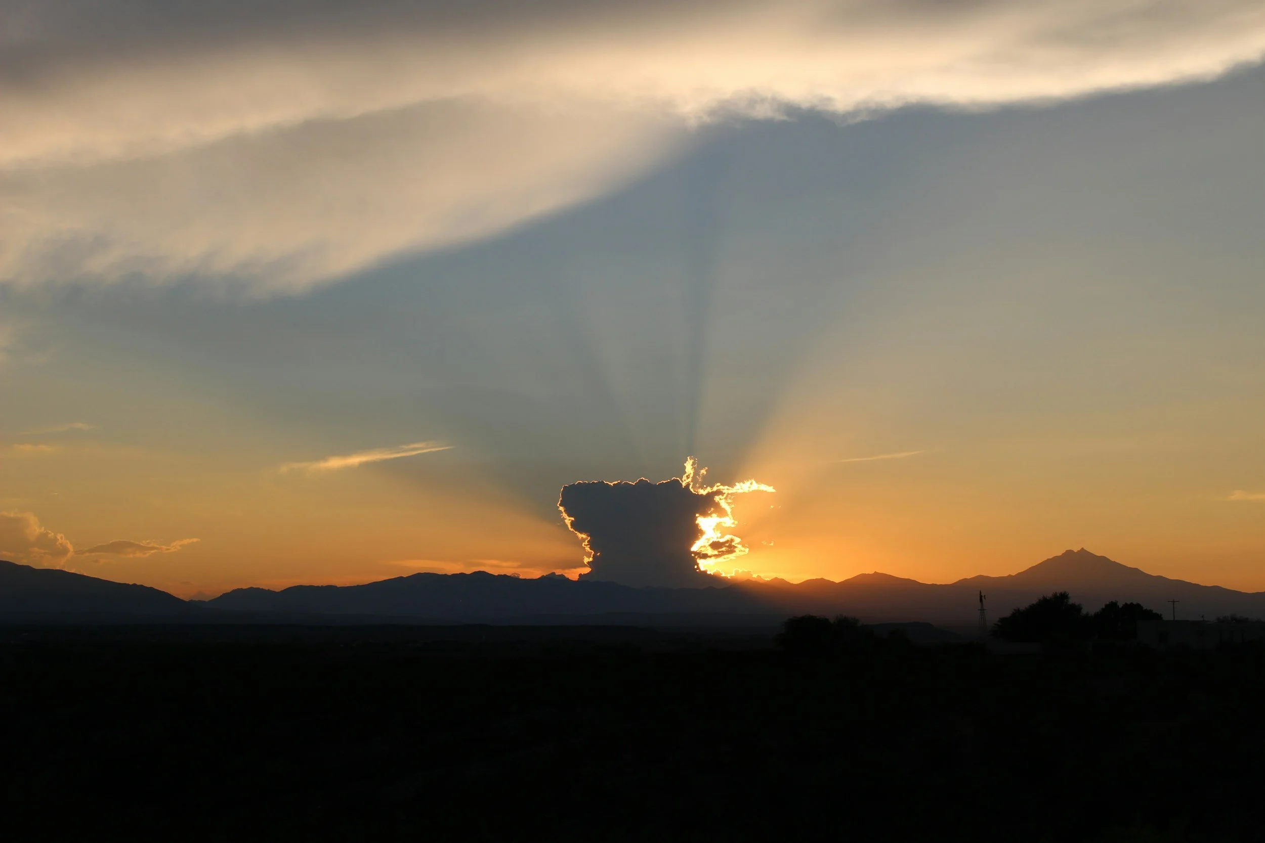 Office of the Bishop Updates