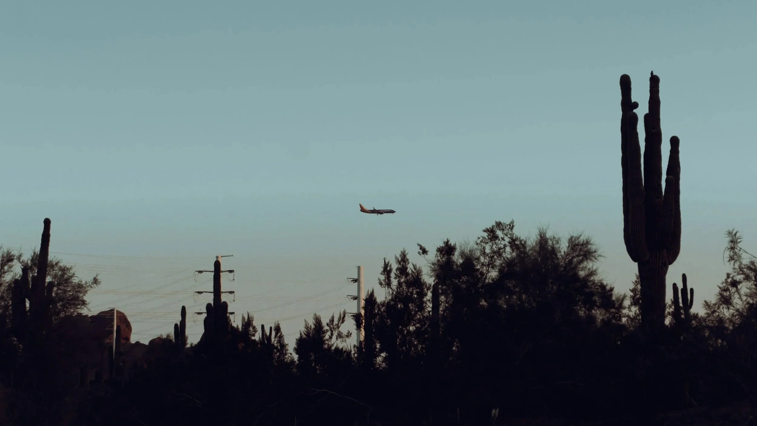 Office of the Bishop Updates