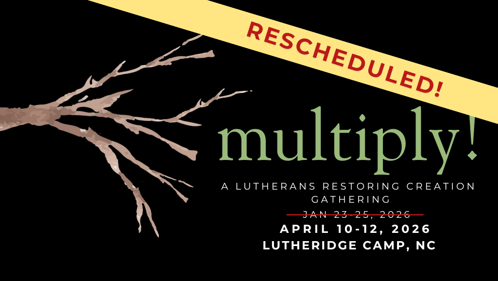 1 black winter(3).png