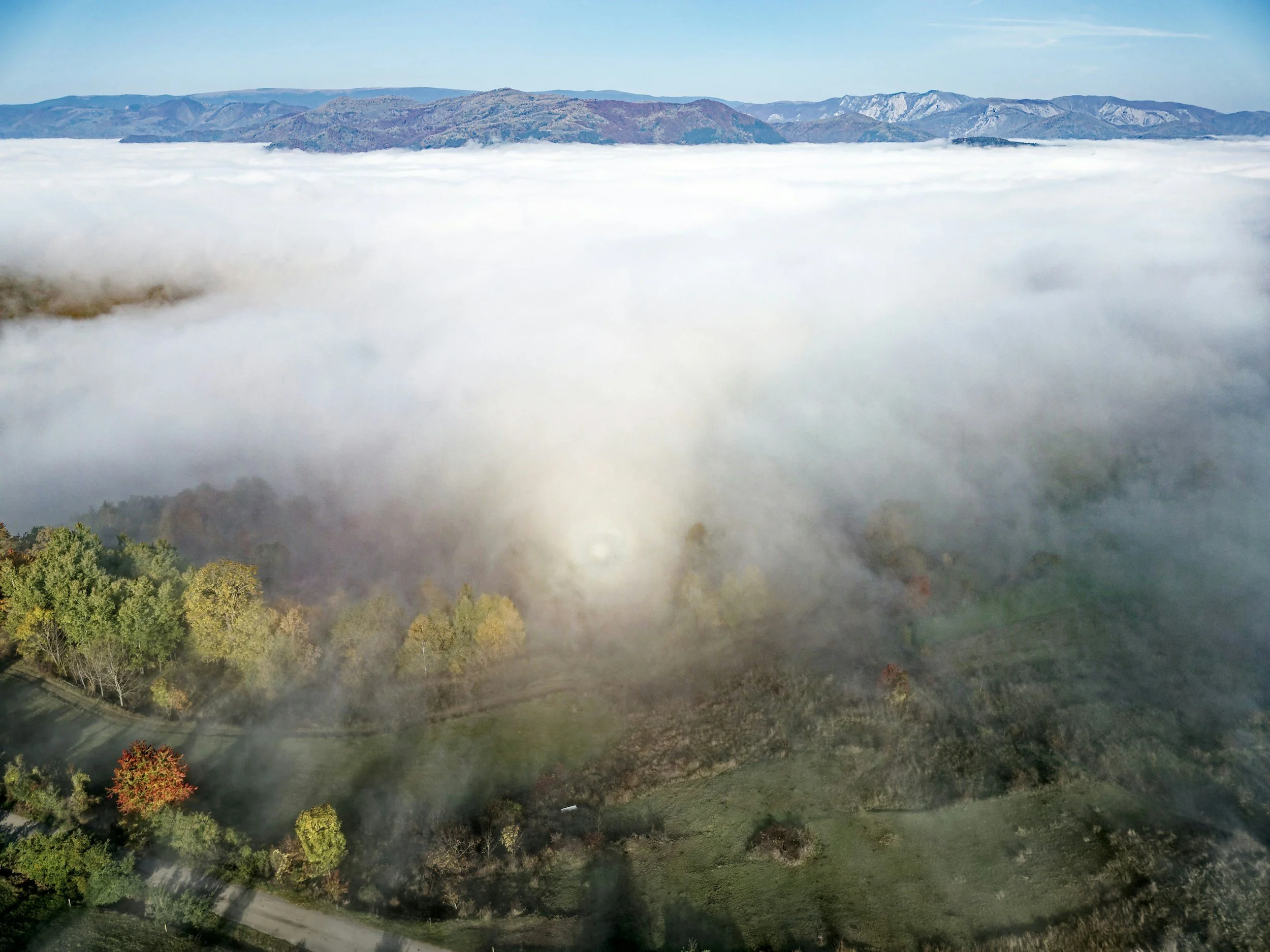 Faith Lens: Born from Above, Already Loved