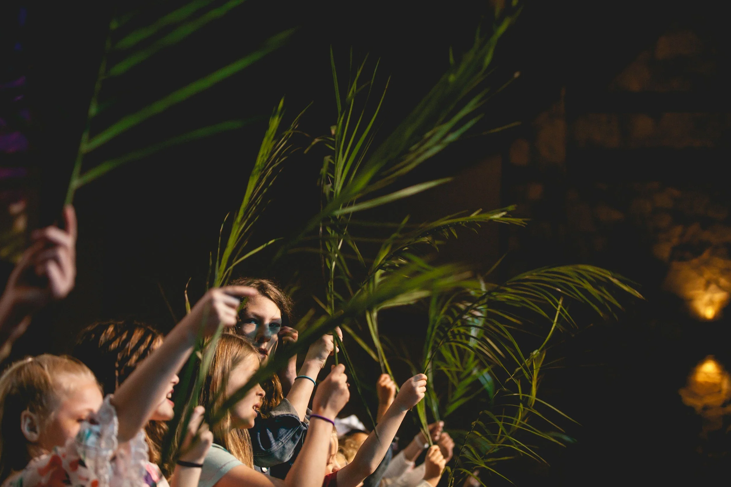 Faith Lens: Hosanna – When Salvation Looks Different