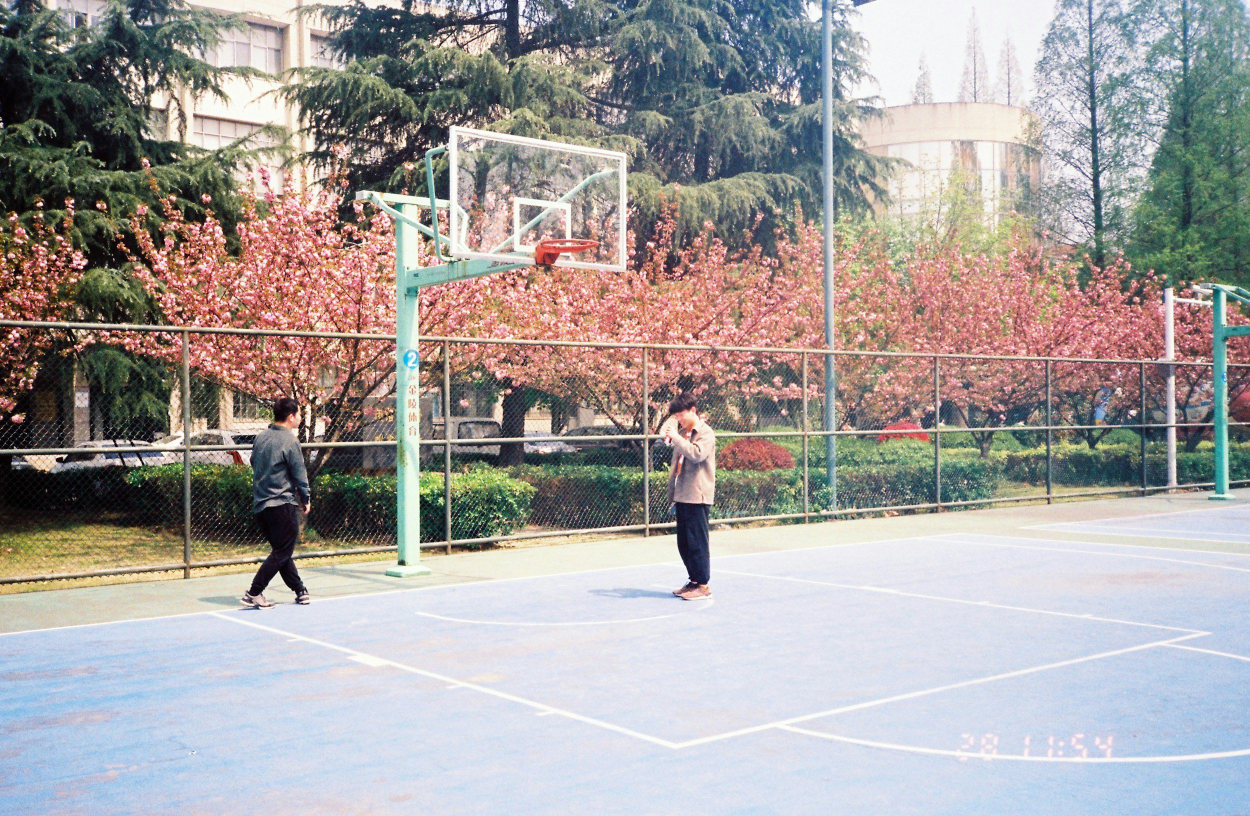 Portico: &nbsp;I Spy Something Blooming …