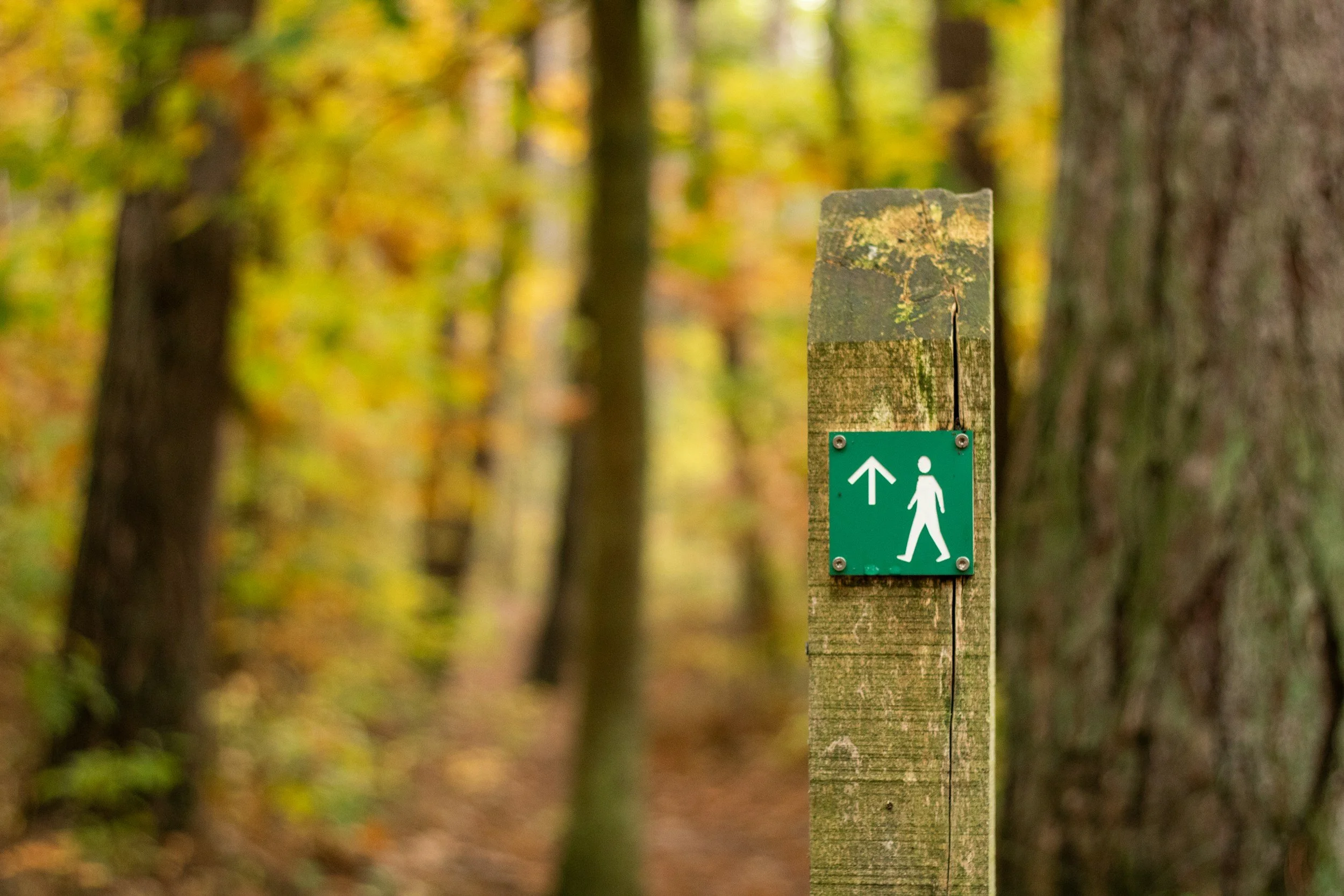 “Hope Is a Group Project”: Join ELCA’s Wayfinding in the Commons on May 6