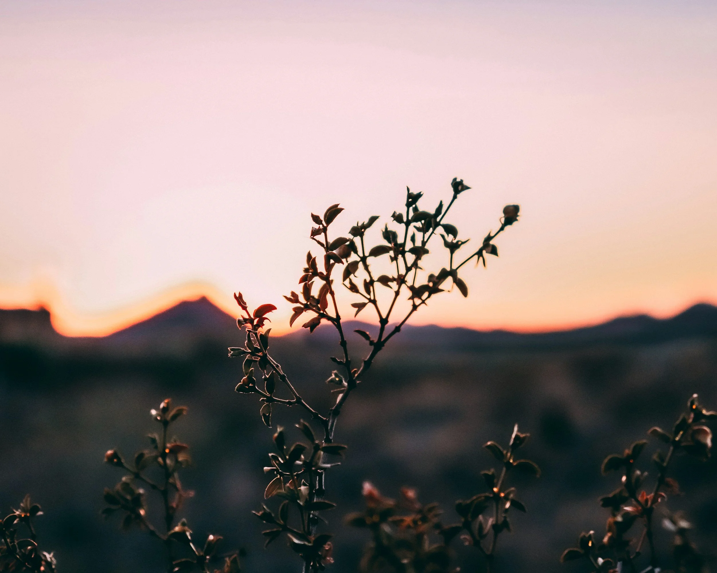 Grand Canyon Synod Prays with Pastor Tim Wright Following Jan Wright’s Death