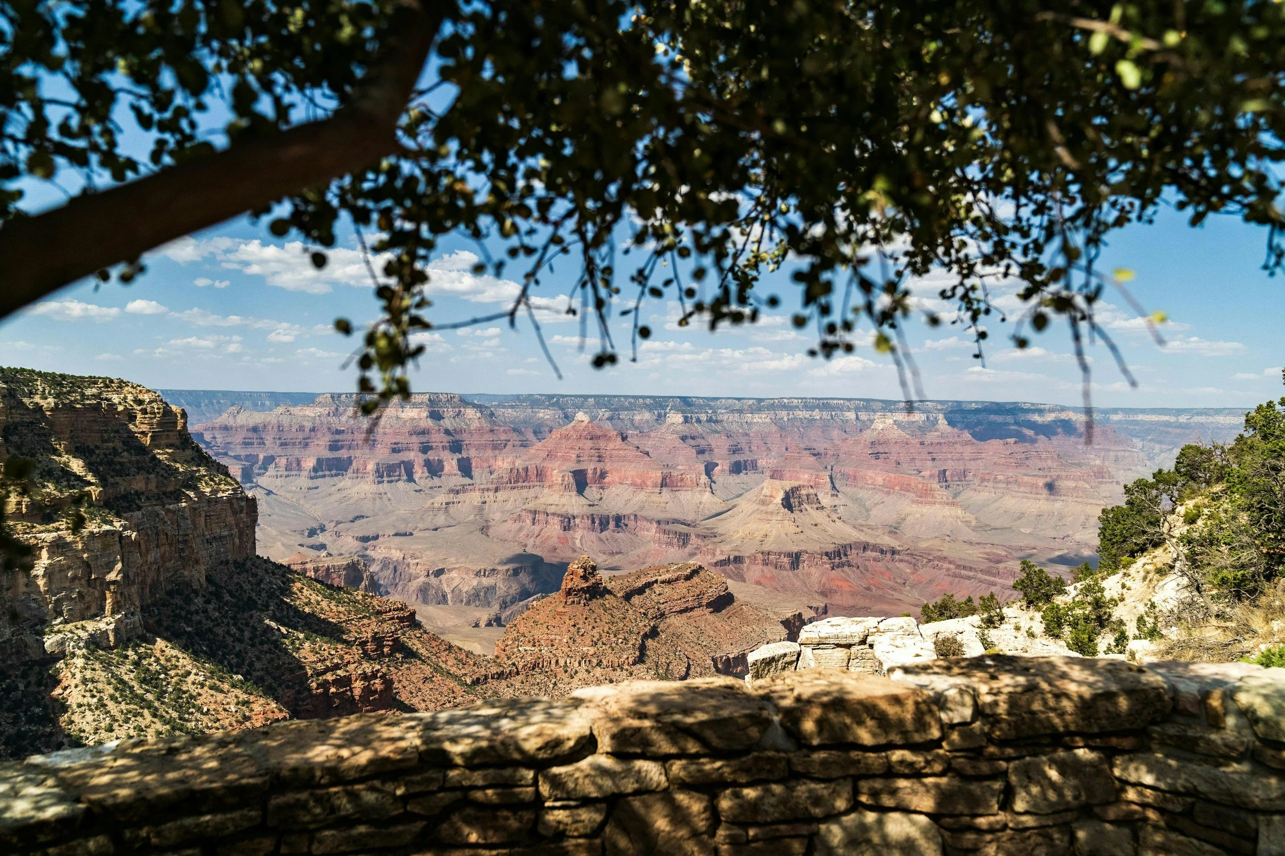 unsplash-image-MN0fF0_d2Ps.jpg