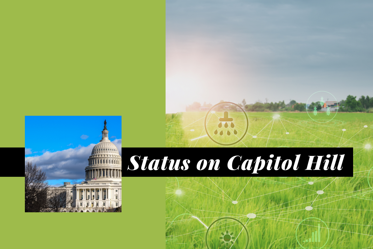 Why the Farm Bill Matters: An ELCA Advocacy Update