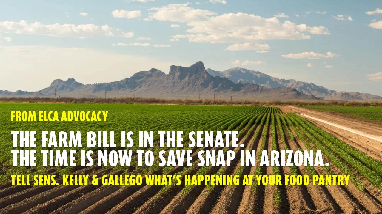 LAMA Update: Urgent Farm Bill Advocacy and New Opportunities to Engage