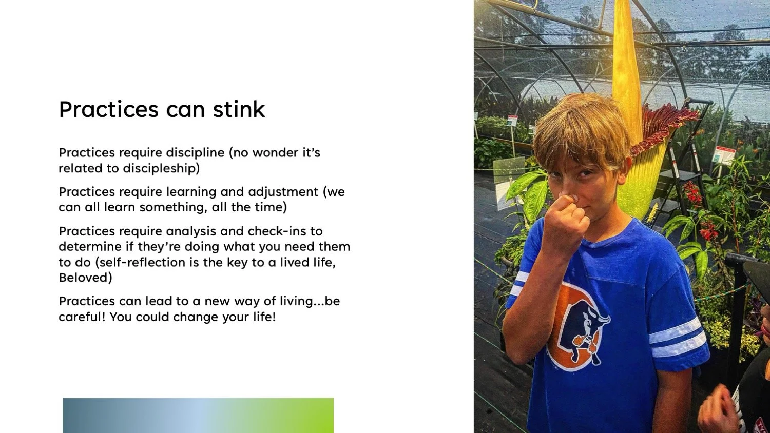 Slide31.jpeg