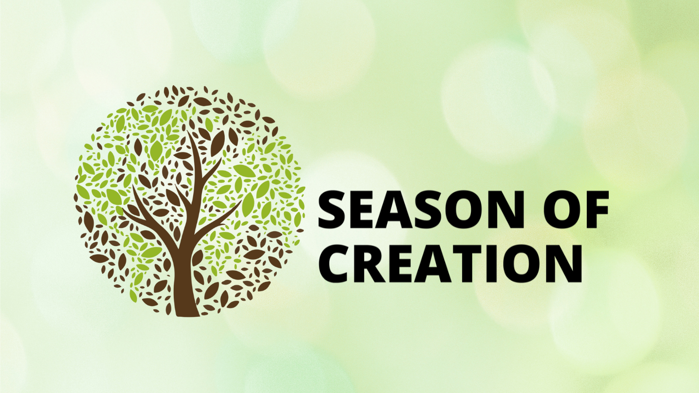 Season of Creation.png