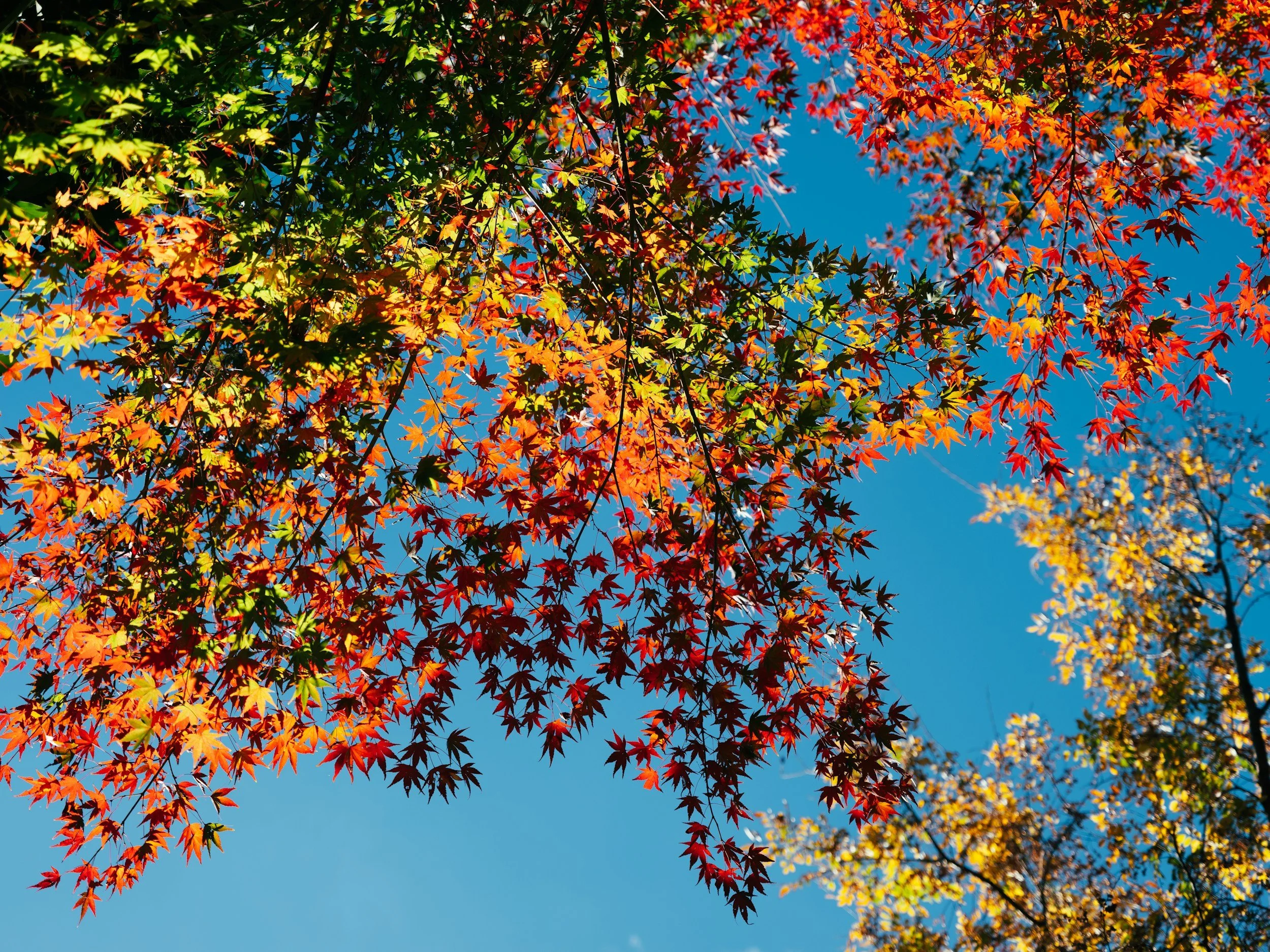 Three Days to Learn, Connect, and Be Renewed