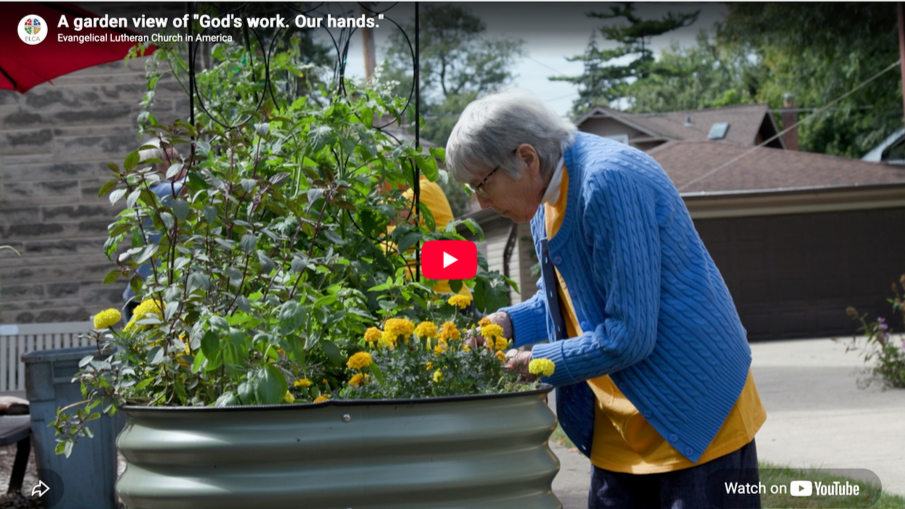 “God’s Work. Our Hands.” Takes Root