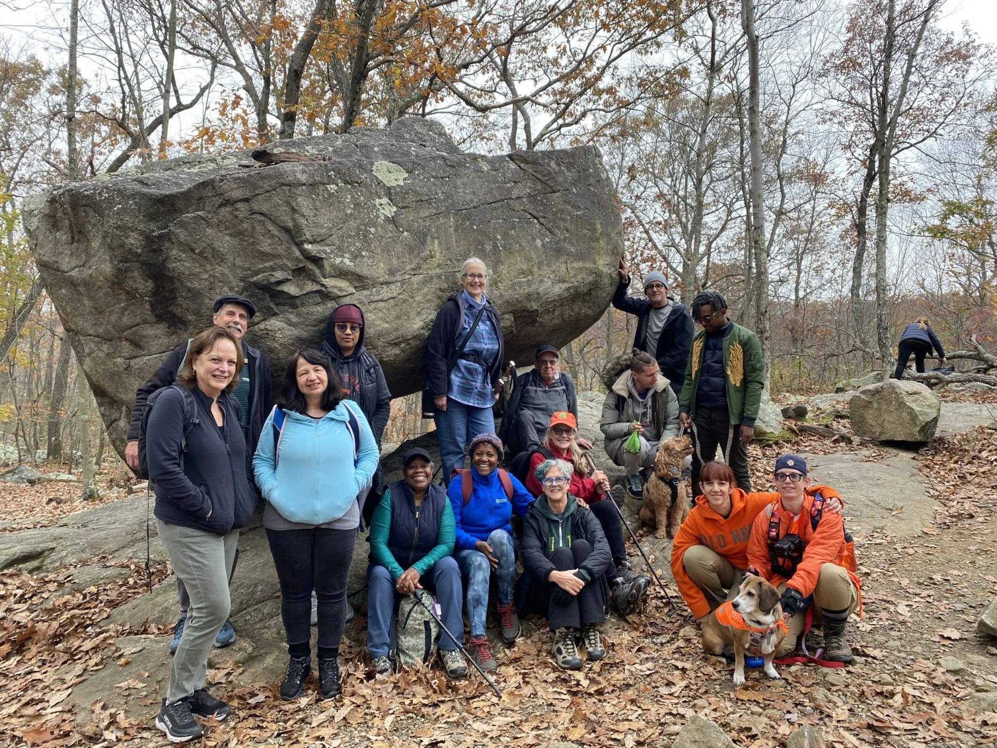 Green Teams Are Key: How Congregations Can Lead Faithful Creation Care Together