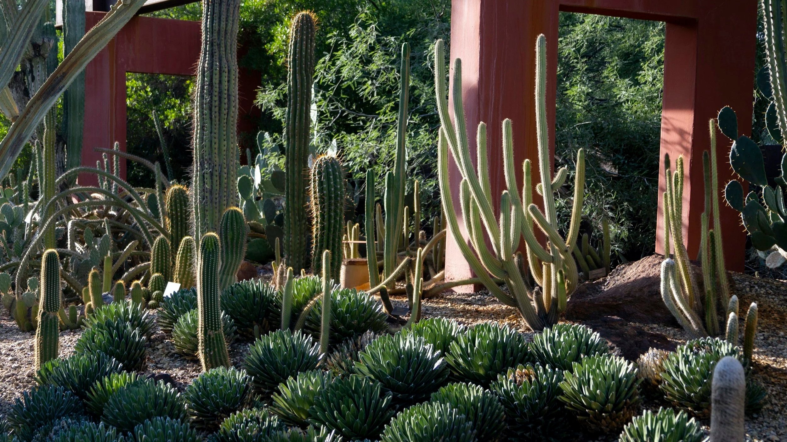 Office of the Bishop Updates