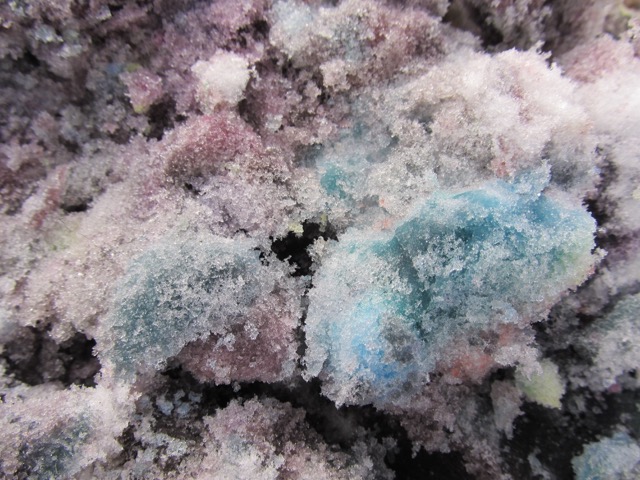 IMG_6061.jpg