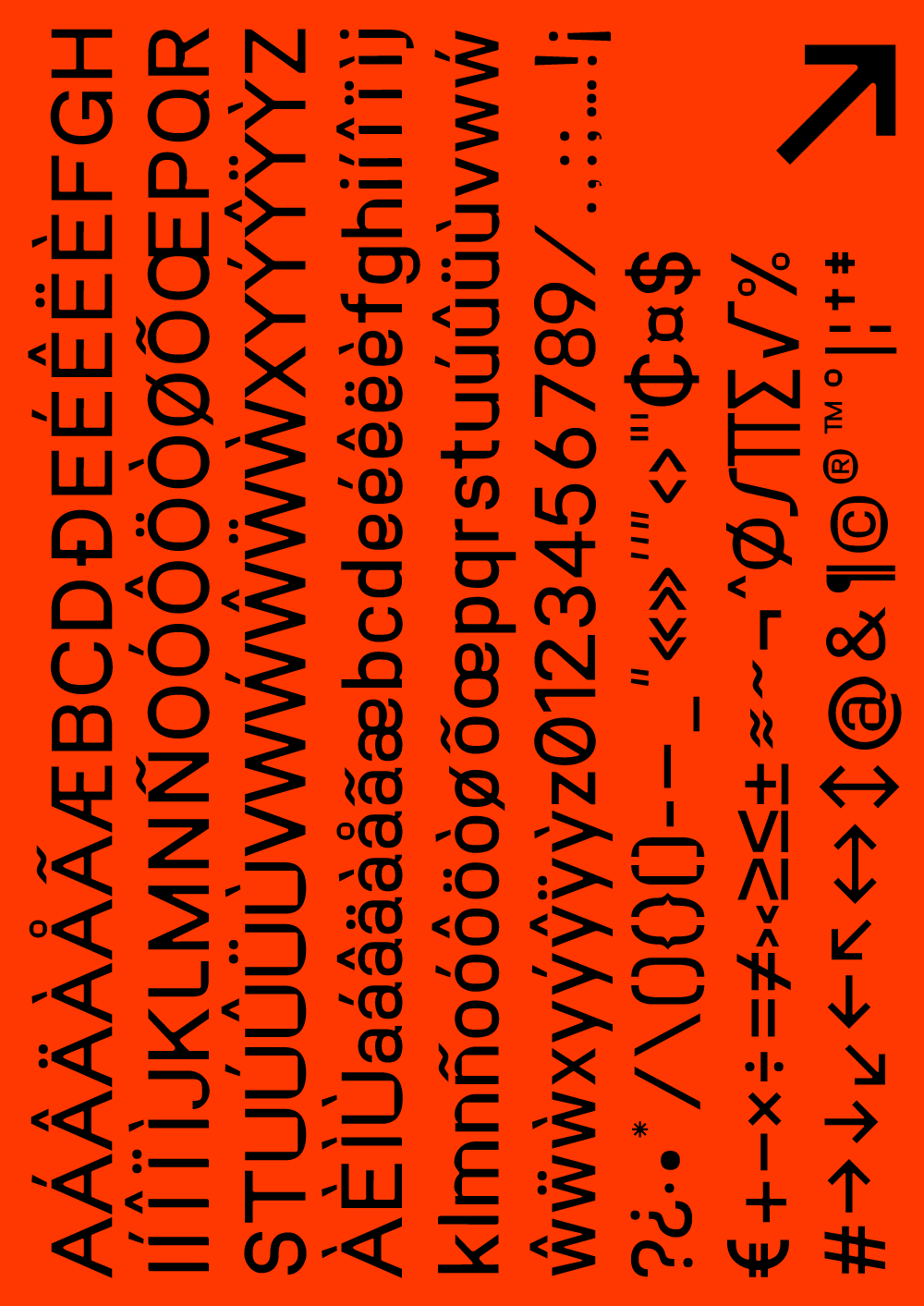 A6_BACK.png