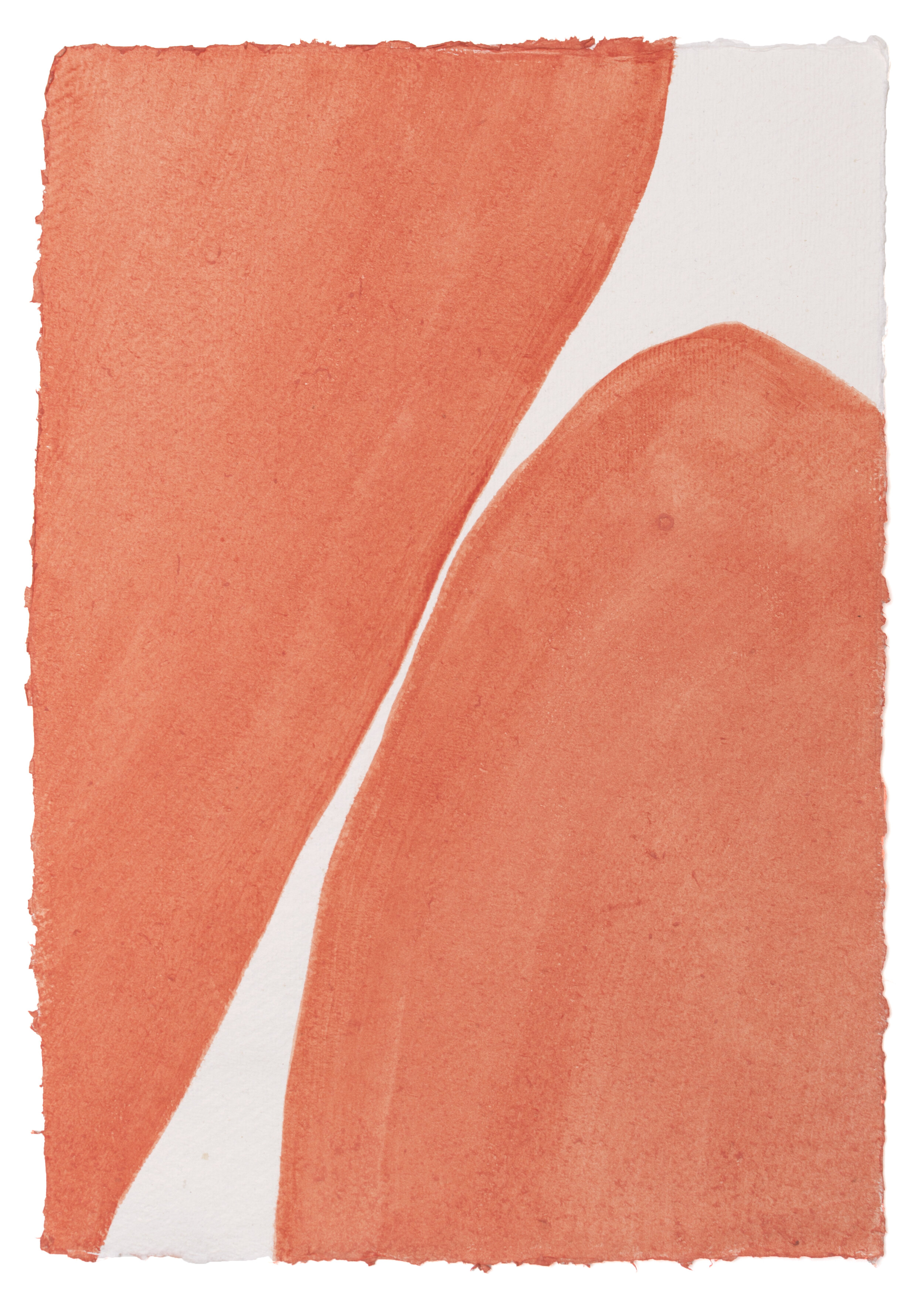 Untitled (Coral)