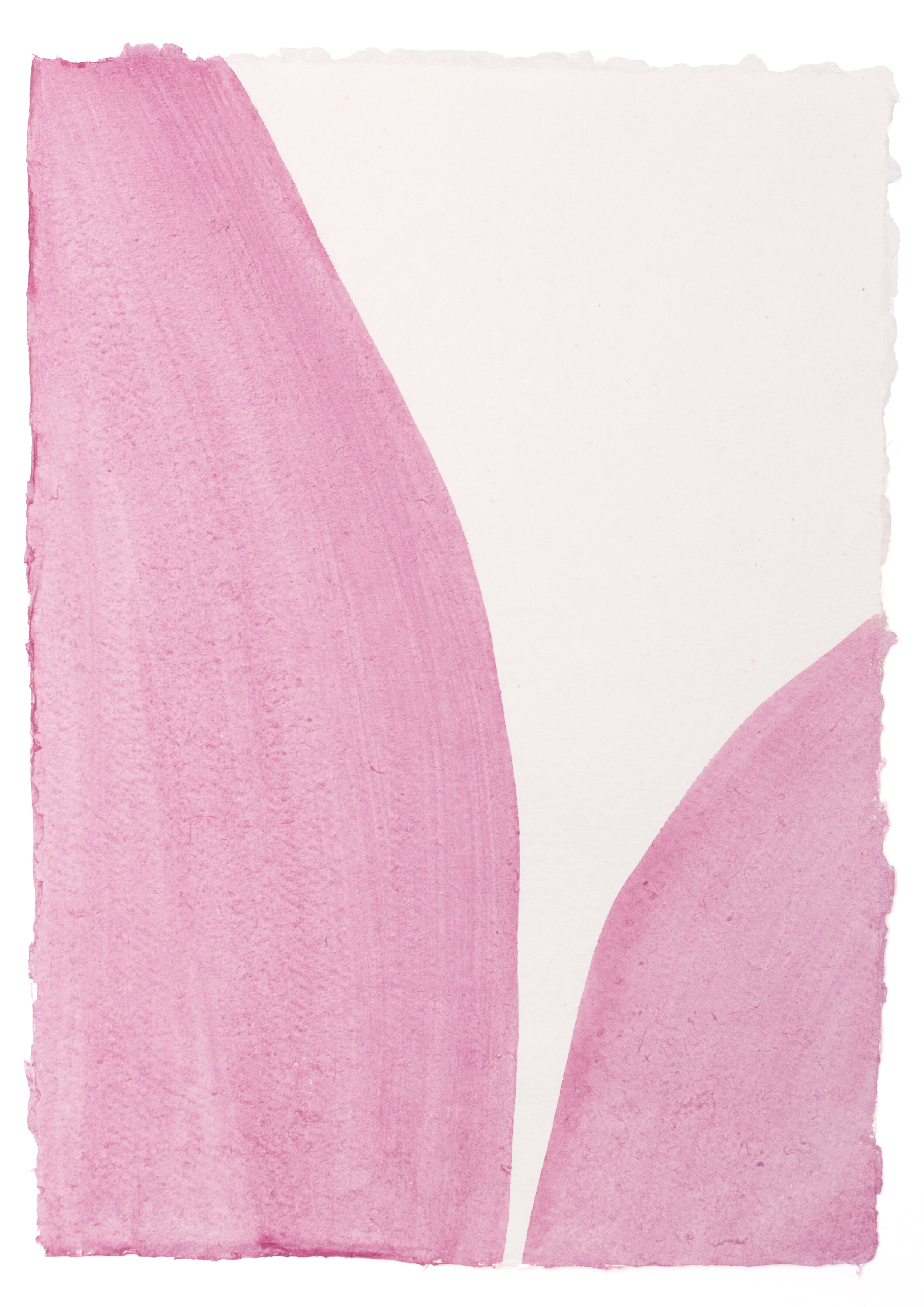 Untitled (Pink)