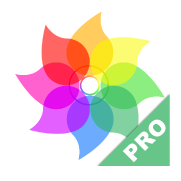 iVault Pro