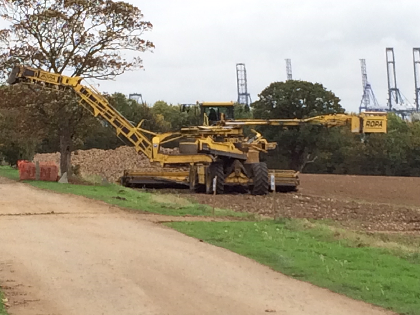 Farming at Trimley